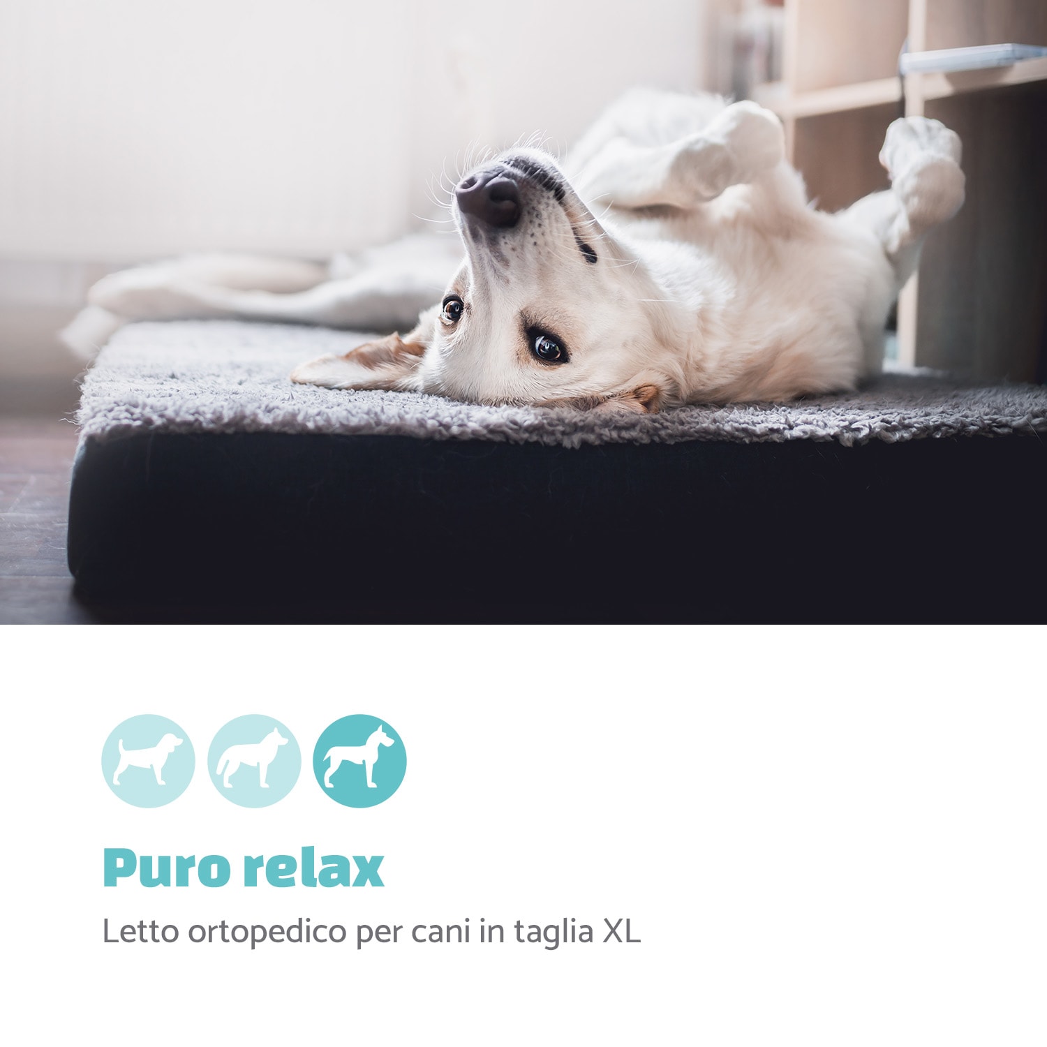 Lettino per Cani, Materassino per Cani | Lavabile | Ortopedico | Antiscivolo | Traspirante | Memory Foam Pieghevole | Taglia XL (120x10x85 cm) XL | Antracite