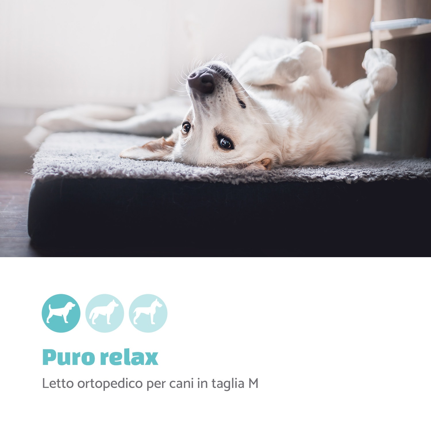 Lettino per Cani, Materassino per Cani | Lavabile | Ortopedico | Antiscivolo | Traspirante | Memory Foam Pieghevole | Taglia M (80x8x55 cm) M | Terra Marrone