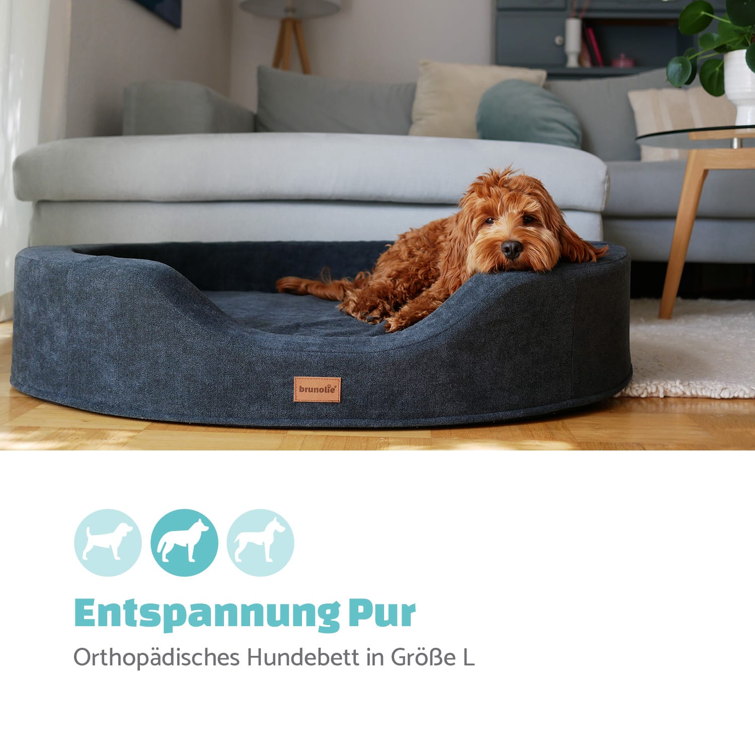 Lotte Hundebett waschbar orthopädisch rutschfest Memory-Schaum Größe L L | Anthrazit