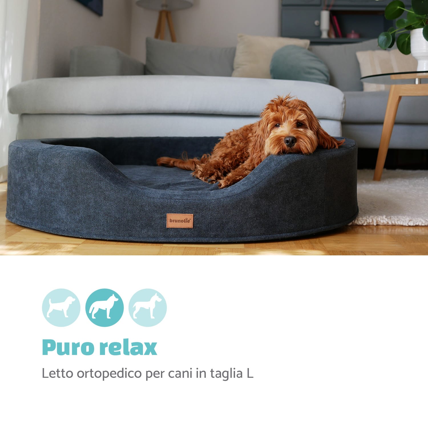 Lotte, lettino e cuscino per cani, lavabile, ortopedico, antiscivolo, memory foam traspirante, taglia L (100 x 20 x 80 cm) L | Antracite