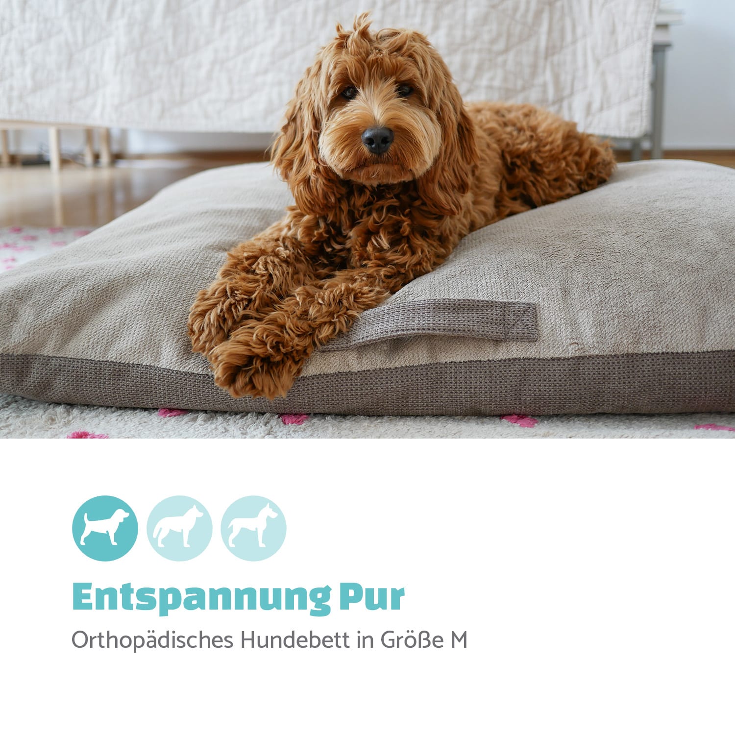 Henry Hundebett waschbar orthopädisch rutschfest Memory-Schaum Größe M M | Taubengrau