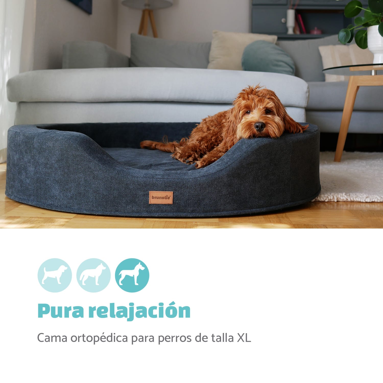 Lotte Cama para perros Cojín para perros | Lavable | Ortopédica | Antideslizante | Espuma viscoelástica transpirable | Tamaño XL (120 x 20 x 100 cm) XL | Antracita