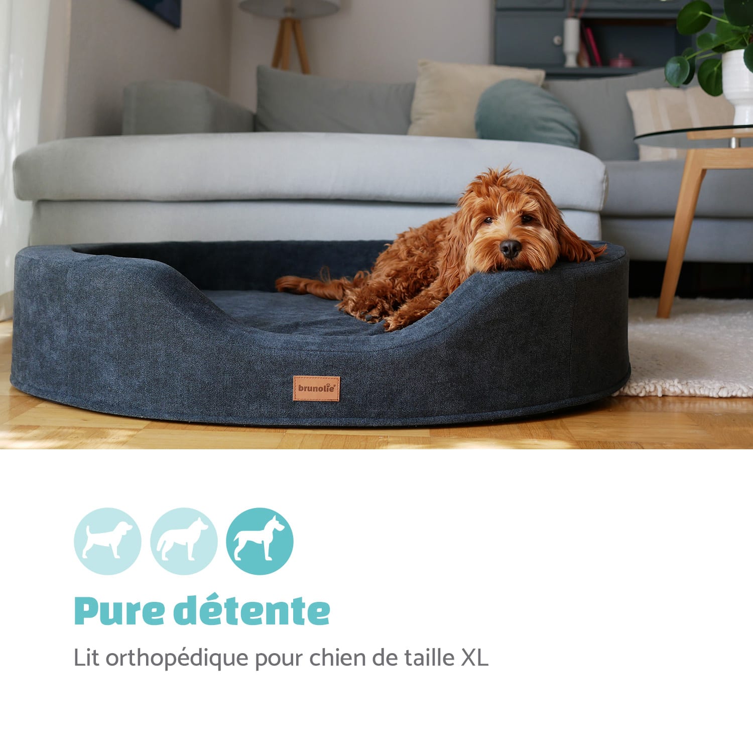Lotte Lit pour chien coussin lavable orthopédique antidérapant respirant mousse à mémoire de forme taille XL (120 x 20 x 100 cm) XL | Anthracite