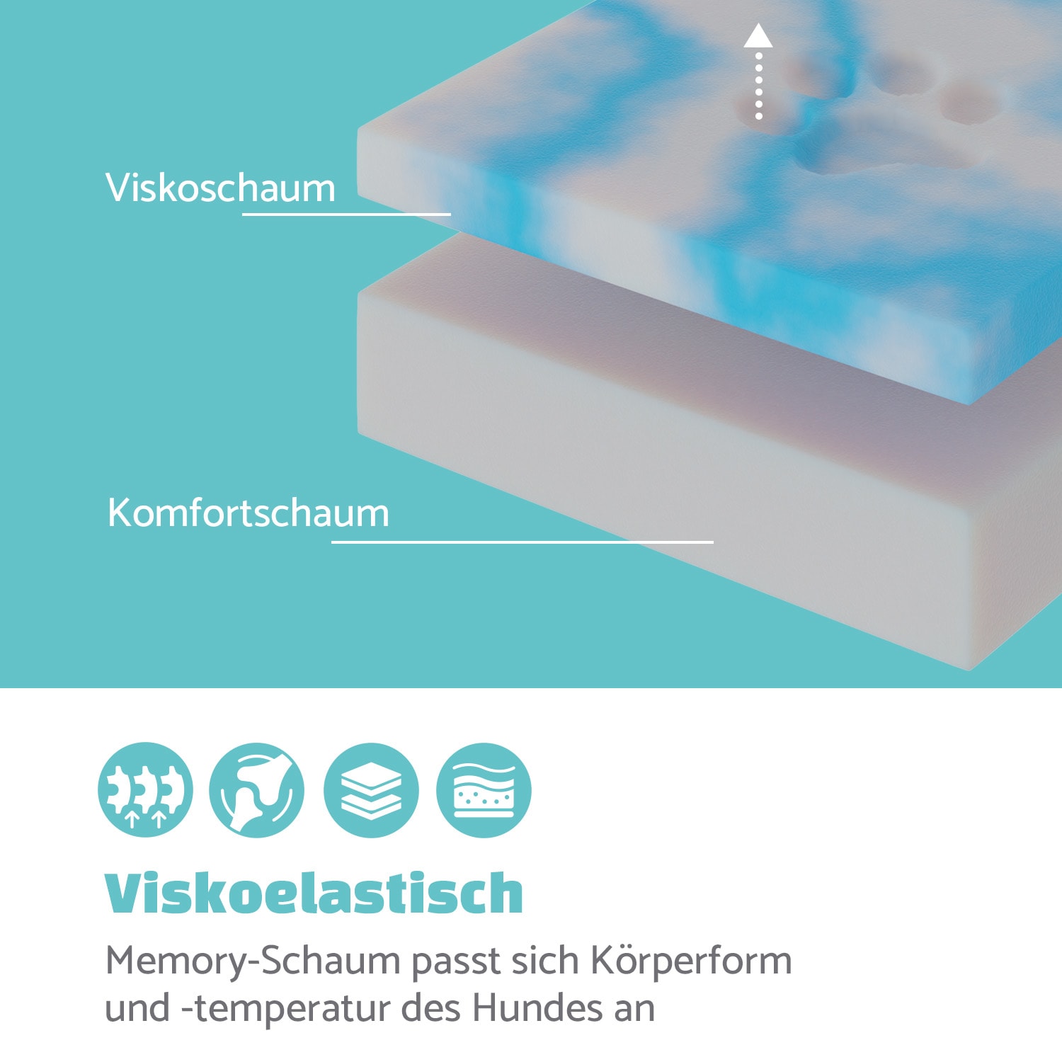 Bruno, Lettino per Cani, Materassino per Cani | Lavabile | Ortopedico | Antiscivolo | Traspirante | Memory Foam | Taglia M (80x17x55 cm) 