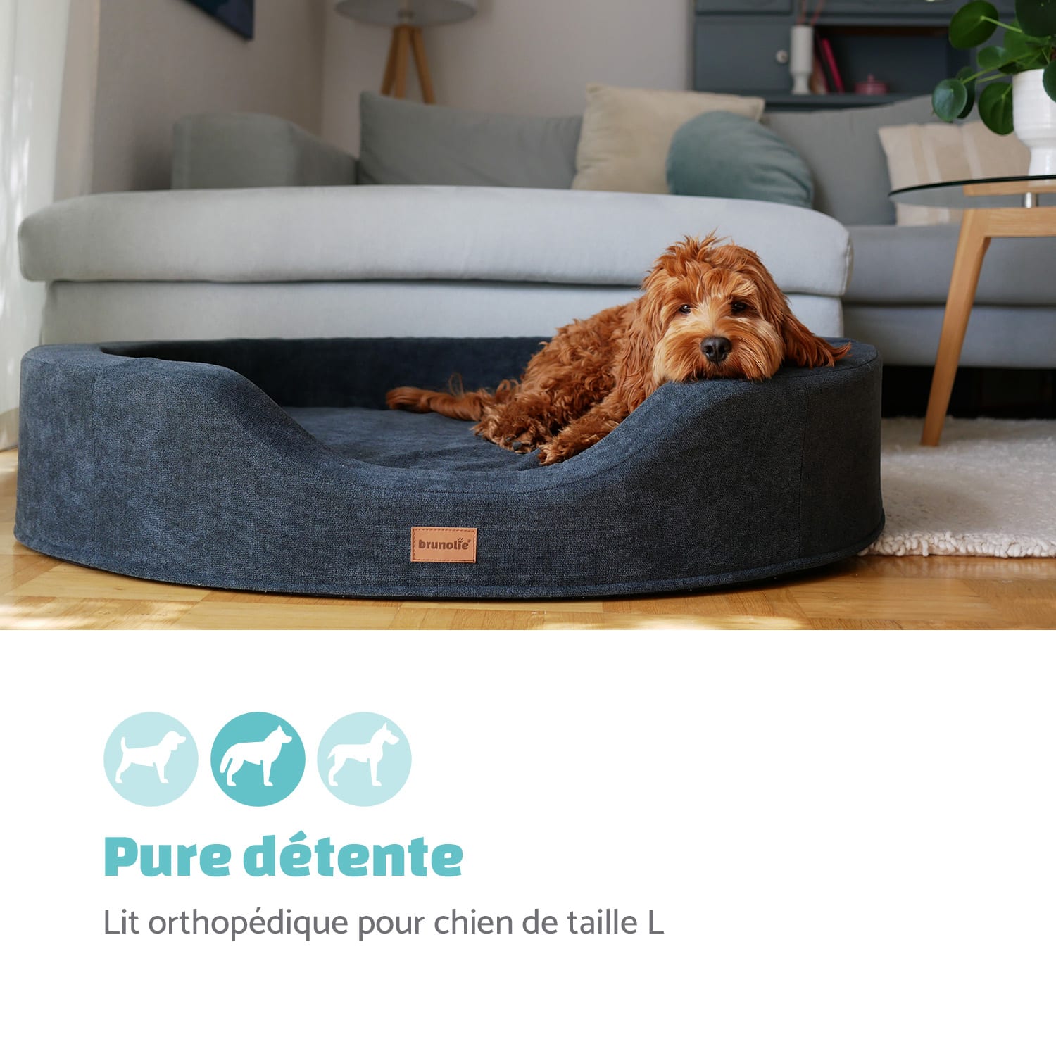 Lotte panier pour chien coussin pour chien | lavable | orthopédique | antidérapant | mousse à mémoire de forme respirante | taille L (100 x 20 x 80 cm) L | Gris Foncé