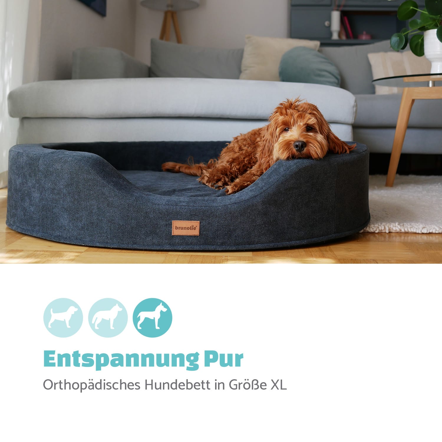 Lotte Hundebett waschbar rutschfest Memory-Schaum Größe XL XL | Dunkelgrau