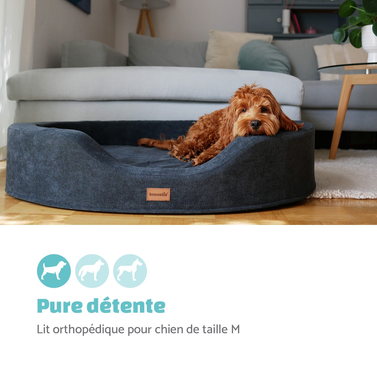Lotte panier pour chien coussin pour chien | lavable | orthopédique | antidérapant | mousse à mémoire de forme respirante | taille M (80 x 20 x 60 cm) M | Anthracite