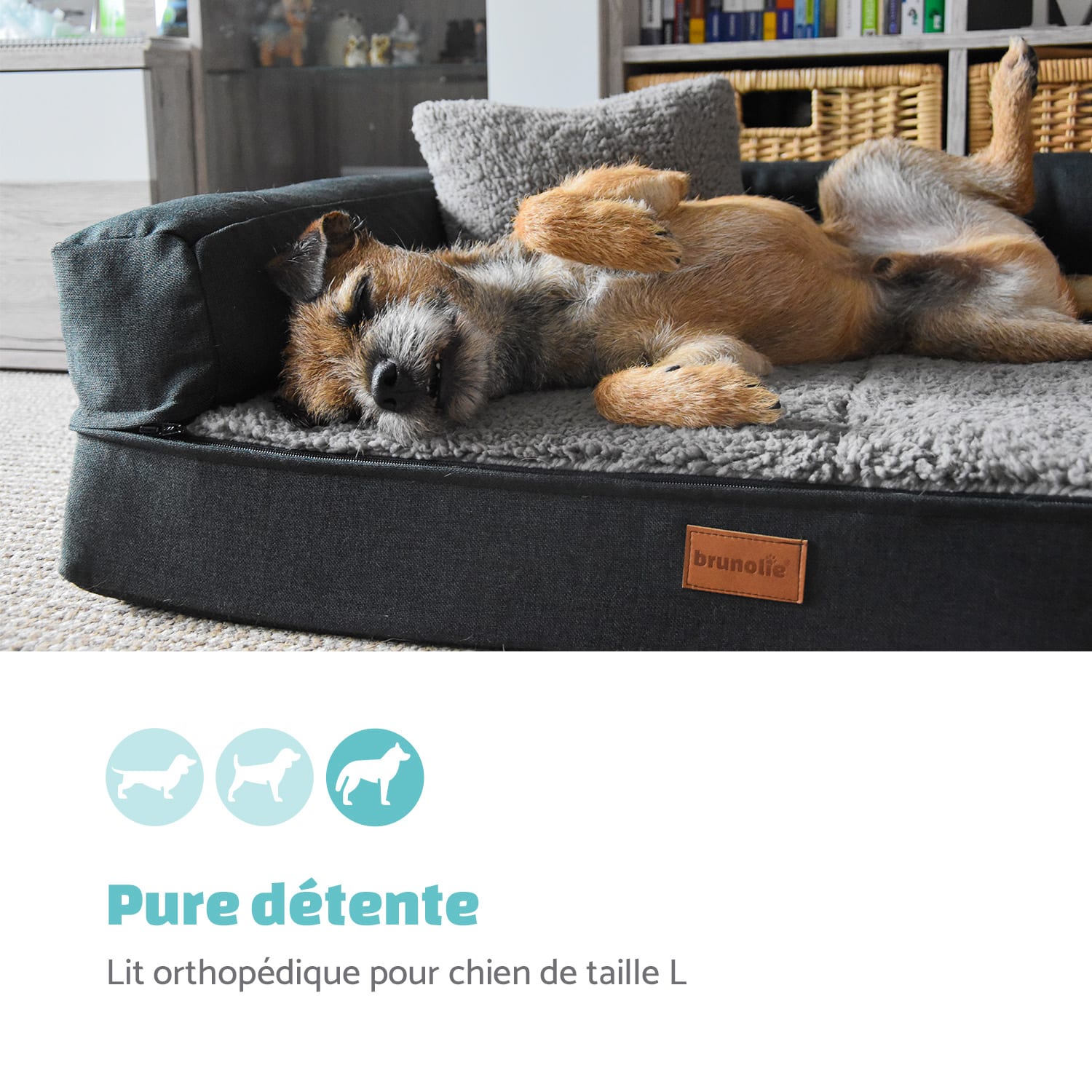 Odin lit pour chien matelas lavable orthopédique antidérapant respirant mousse à mémoire de forme taille  L (120 × 12 × 80 cm) L | Crème Vintage