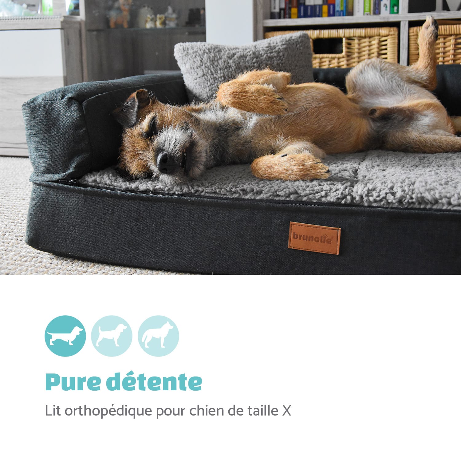 Odin lit pour chien matelas lavable orthopédique antidérapant respirant mousse à mémoire de forme taille M (100 x 12 x 80 cm) M | Gris Moyen