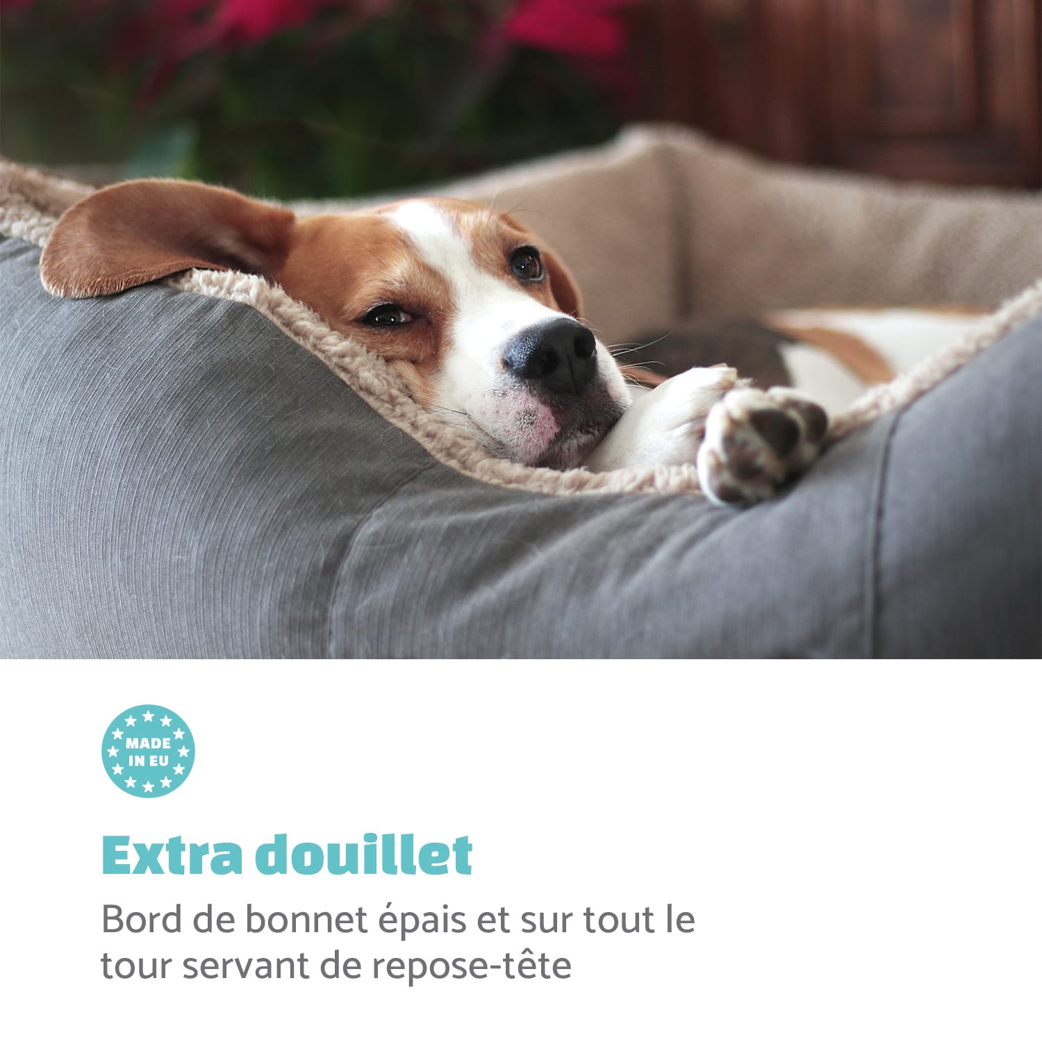 Emma lit pour chien panier lavable antidérapant respirant matelas réversible coussin Taille L (100 x 30 x 90 cm) L | Crème Vintage