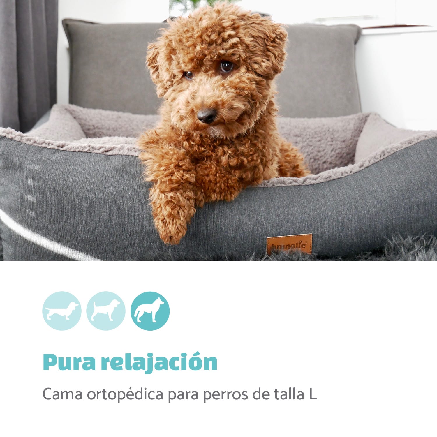 Emma Cama para perros Cesta para perros | Lavable | Antideslizante | Transpirable | Colchón reversible | Cojín | Tamaño L (100 x 30 x 90 cm) L | Marrón Tierra
