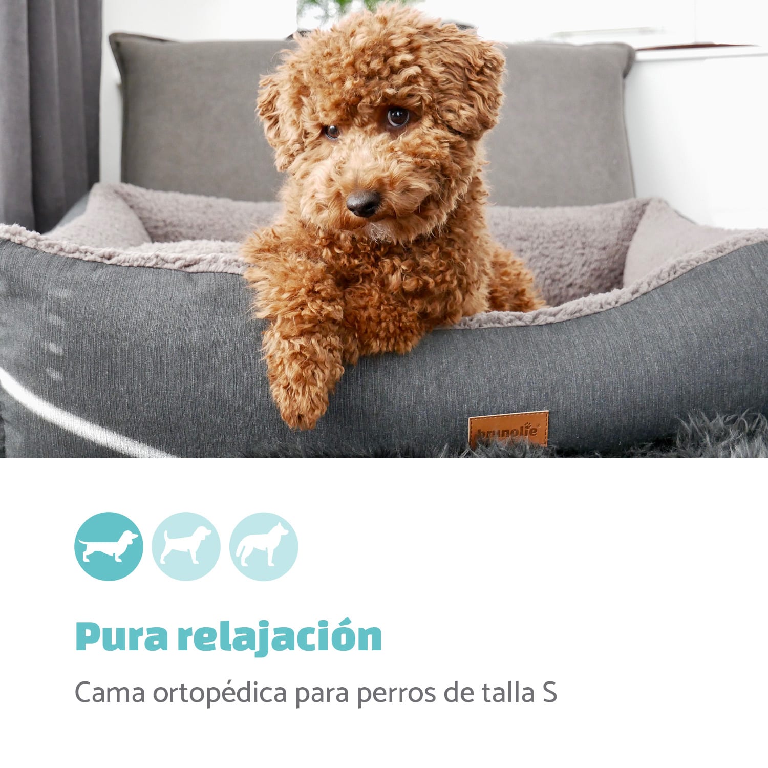 Emma Cama para perros Cesta para perros | Lavable | Antideslizante | Transpirable | Colchón reversible | Cojín | Tamaño S (67 x 20 x 59 cm) S | Gris Medio