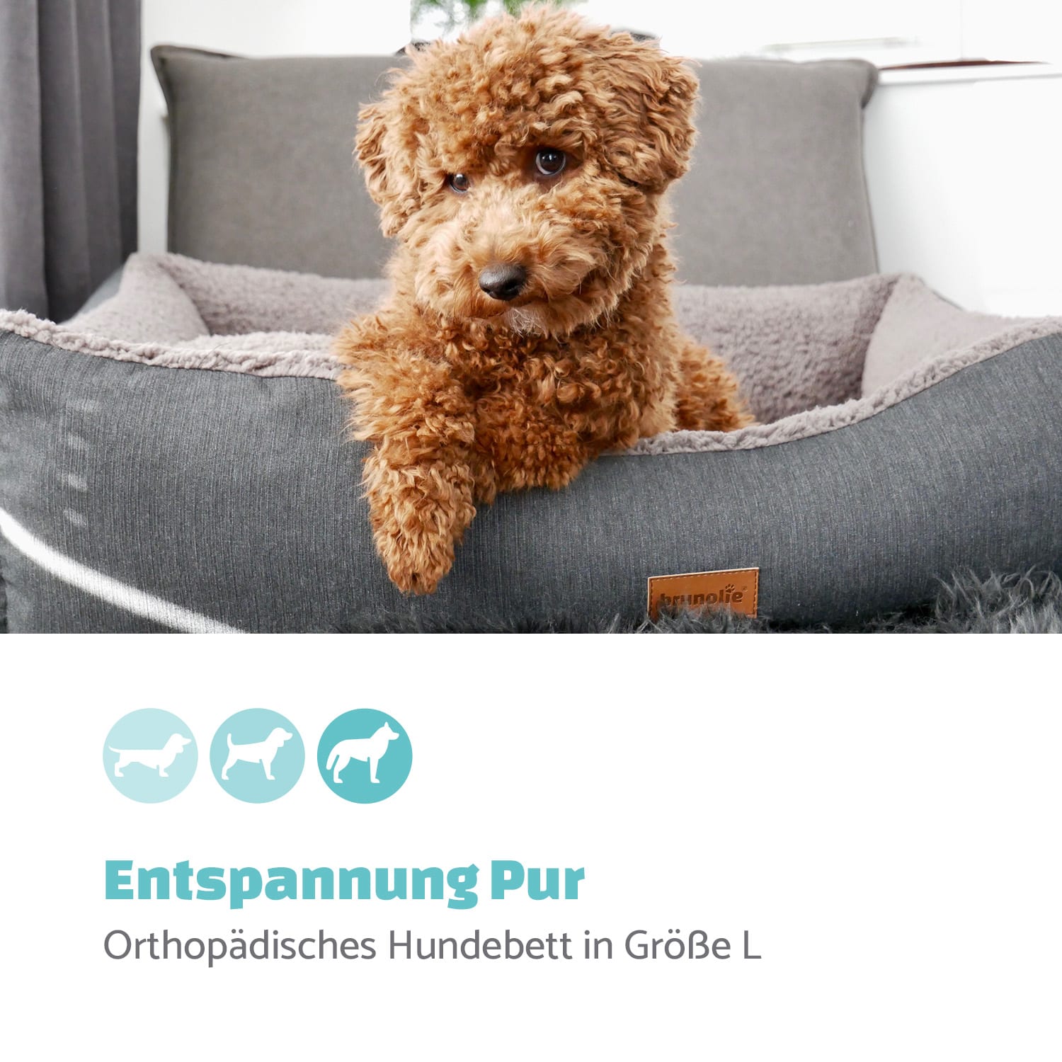 Emma Hundebett Hundekorb | waschbar | rutschfest | atmungsaktiv | Wendematratze | Kissen | Größe L (100 x 30 x 90 cm) L | Mittelgrau