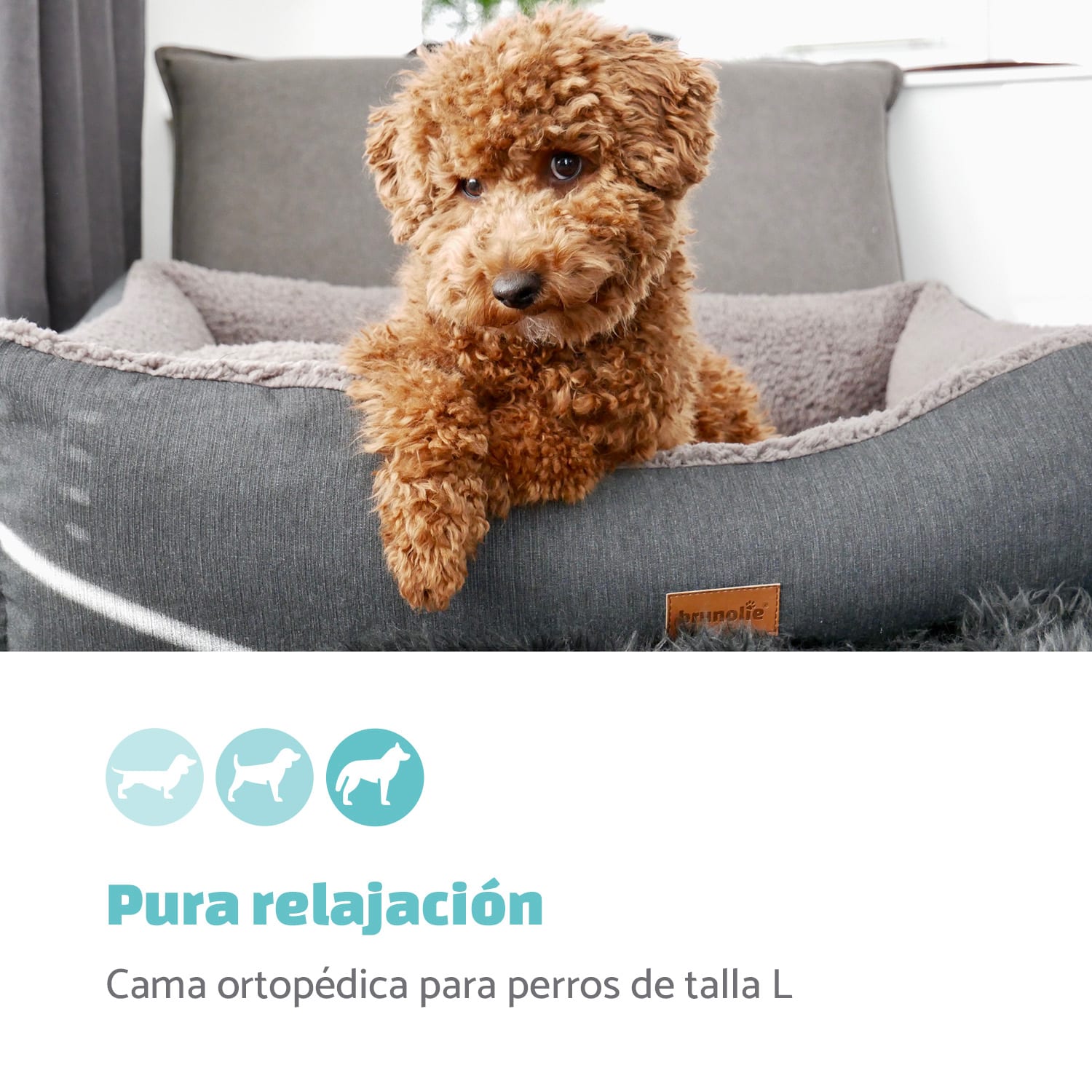 Emma Cama para perros Cesta para perros | Lavable | Antideslizante | Transpirable | Colchón reversible | Cojín | Tamaño L (100 x 30 x 90 cm) L | Gris Medio