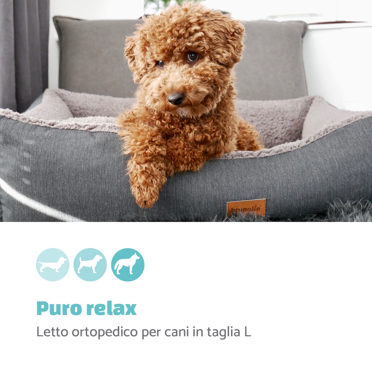 Emma, Lettino per Cani, Divanetto per Cani | Lavabile | Antiscivolo | Traspirante | Reversibile | Cuscino | Taglia L (100x30x90 cm) L | Grigio medio