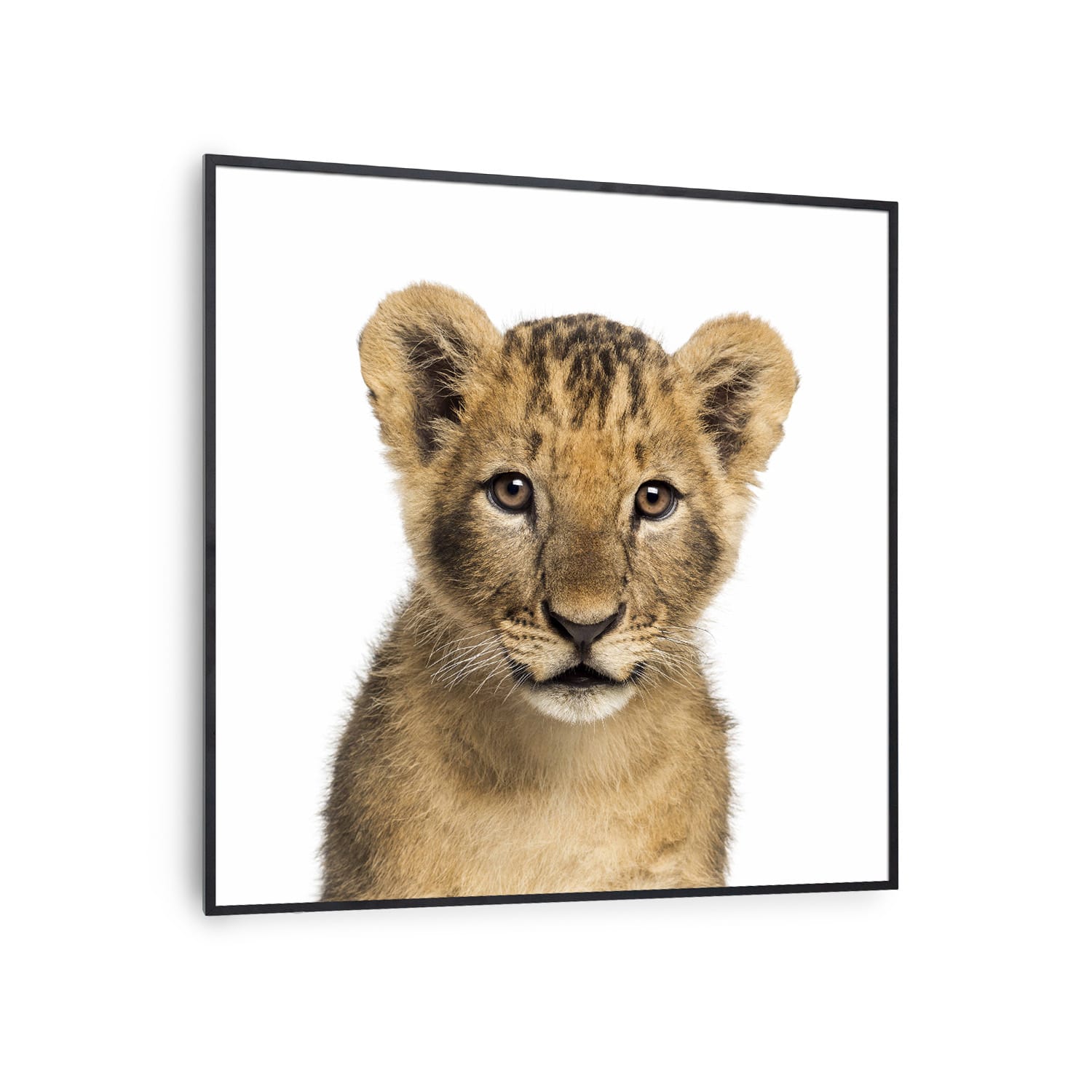 Radiateur infrarouge intelligent Wonderwall Air Art décor lion 60x60 cm 350 W 60 x 60 cm | Lion, cadre noir