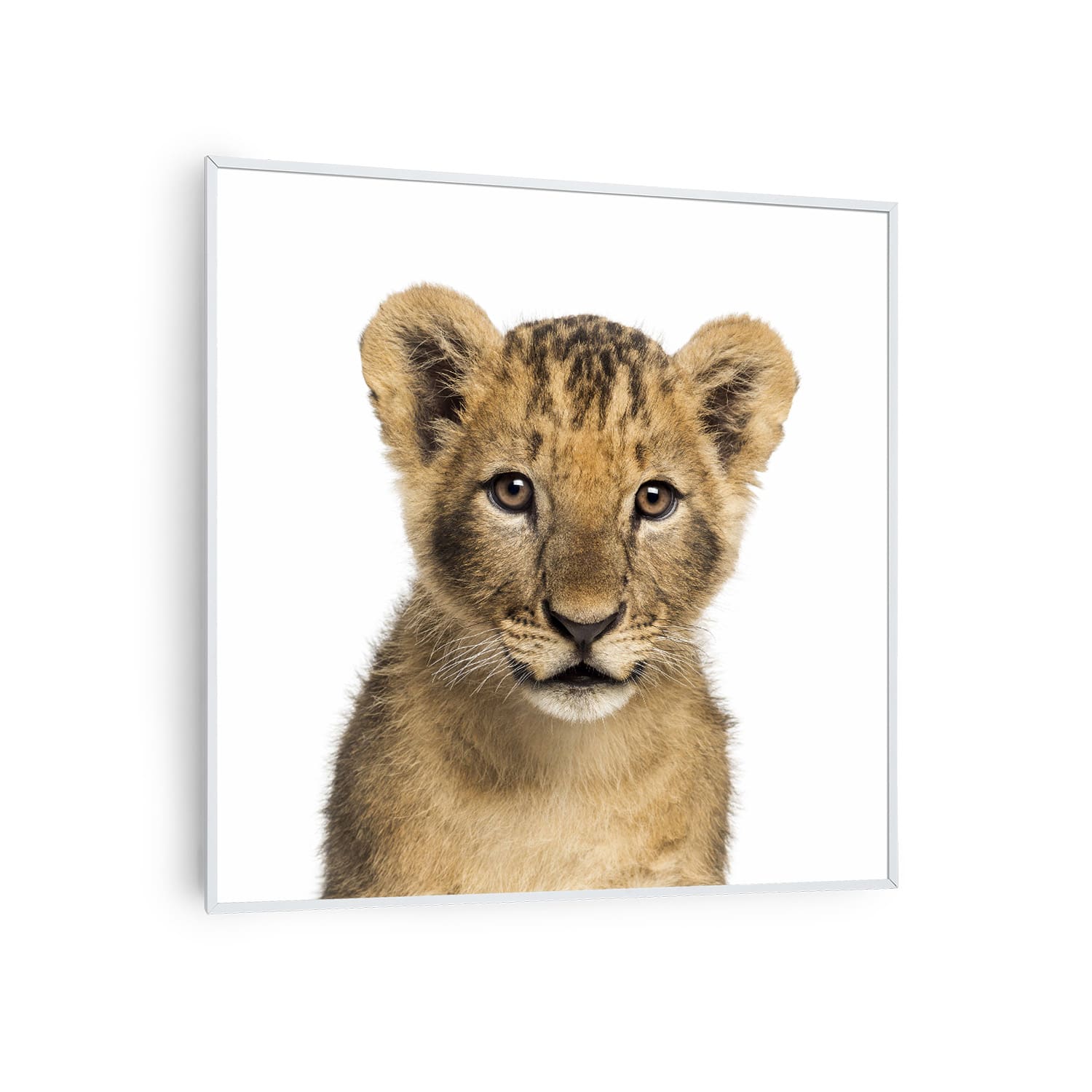 Wonderwall Air Art Smart infraroodverwarming leeuw 60x60 cm 350 W 