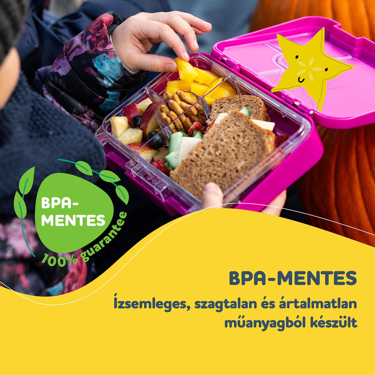 schmatzfatz junior, tízórais doboz, 6 rekesz, 21,3 x 15 x 4,5 cm  