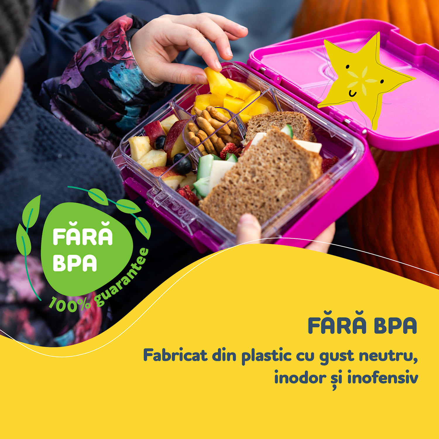 Schmatzfatz junior, cutie pentru gustări, 6 compartimente, 21,3 × 15 × 4,5 cm Fucsia