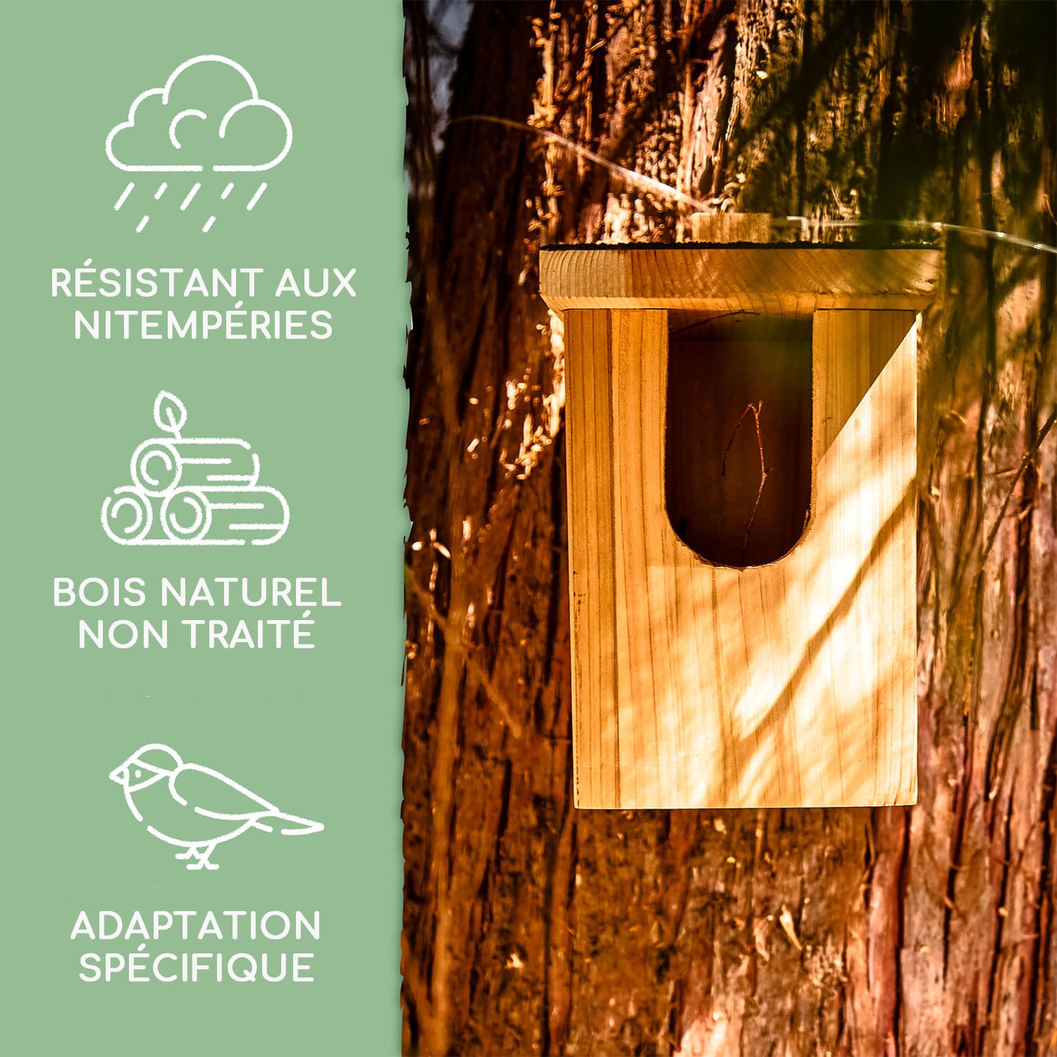 Nichoir pour rouge-gorges Système d'accrochage Toit asphalté Cèdre rouge bois 