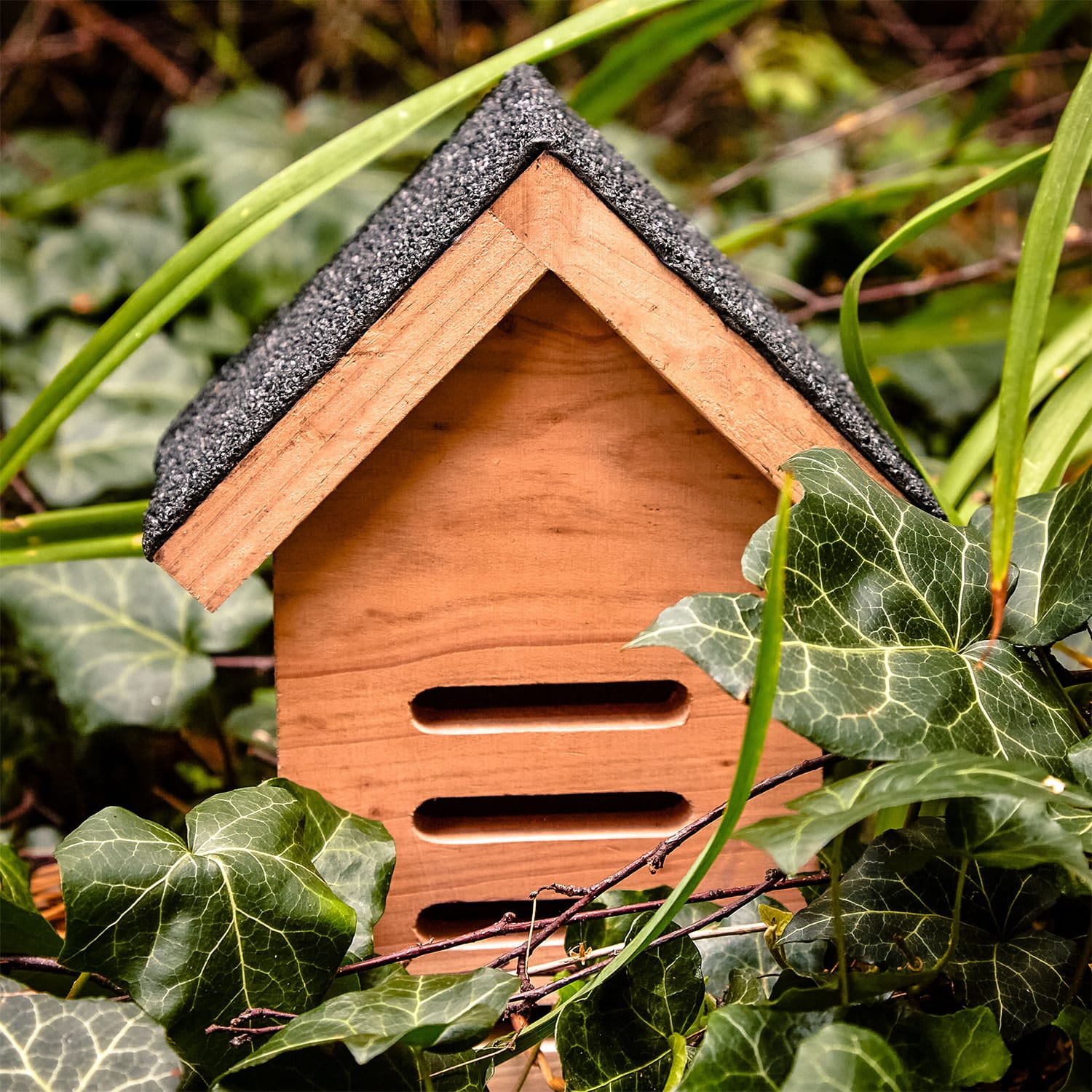 Katicabogár ház, tető aszfaltkartonból, segítség a telelésben, egész évben lakható, vörös cédrus
