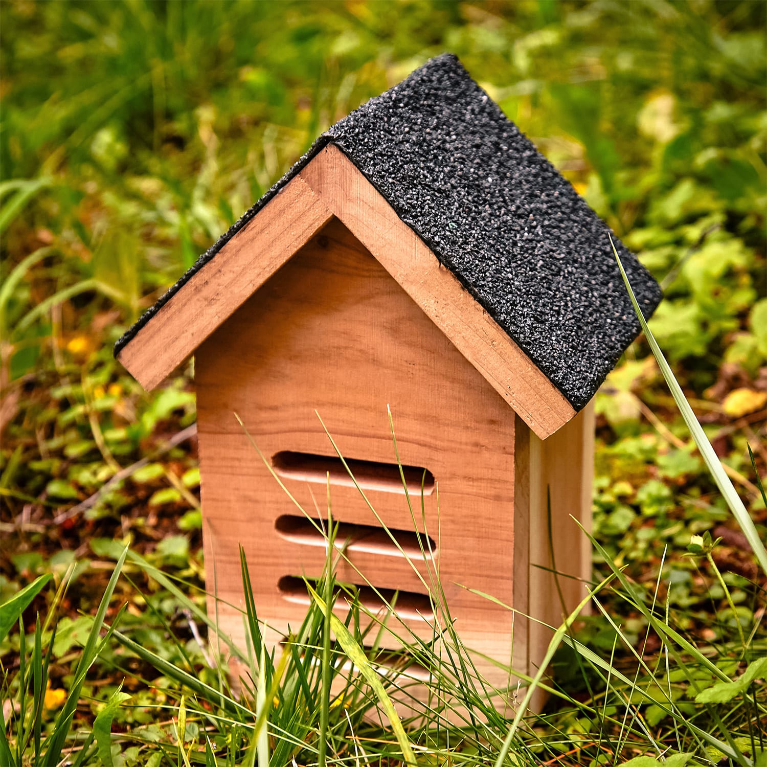Katicabogár ház, tető aszfaltkartonból, segítség a telelésben, egész évben lakható, vörös cédrus