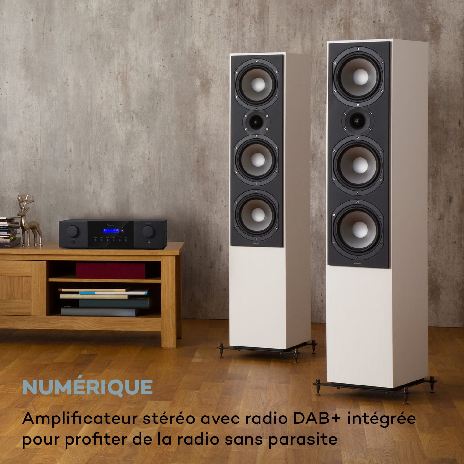 AMP-4000 DAB Amplificateur stéréo Hi-Fi Radio DAB+ Télécommande USB Écran LED