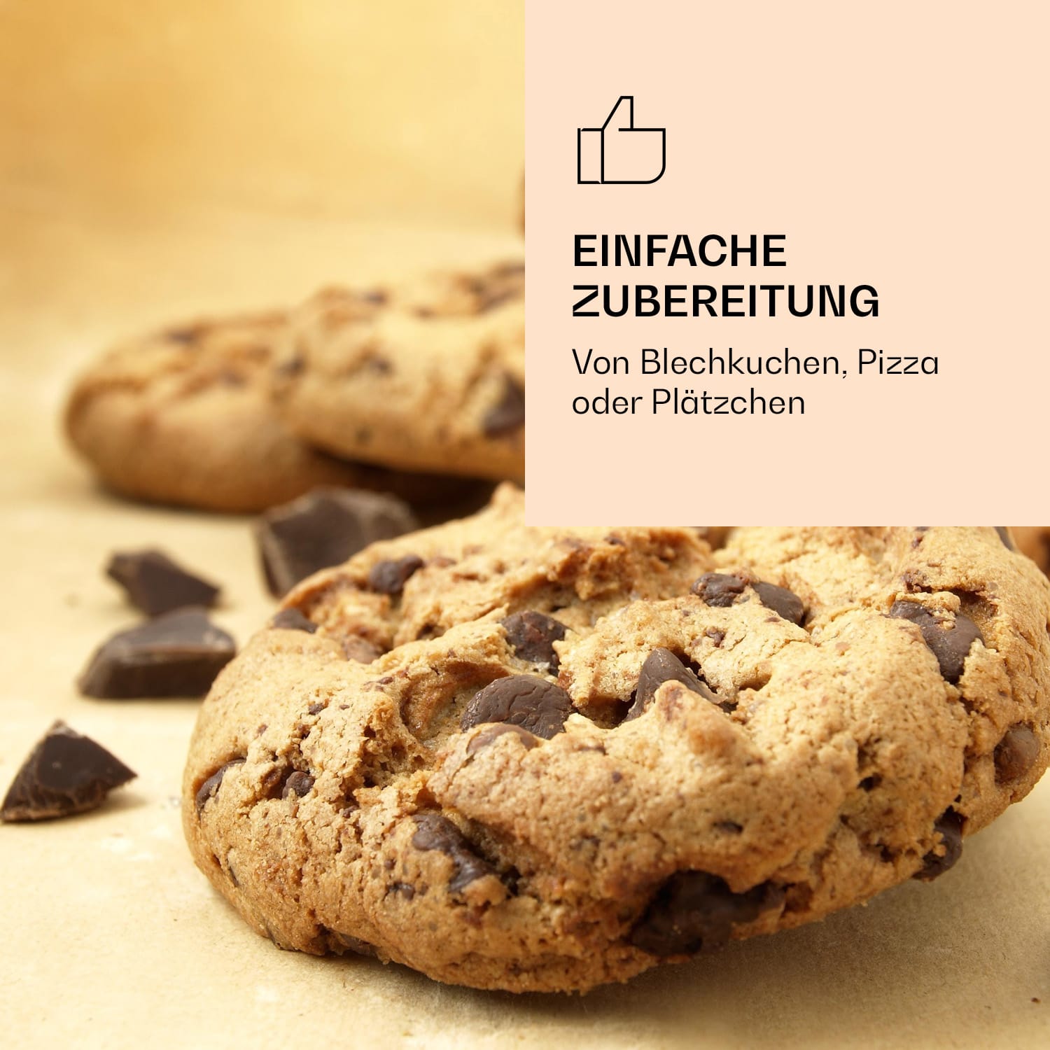 AeroVital Jumbo Heißluftfritteuse Backblech Edelstahl 