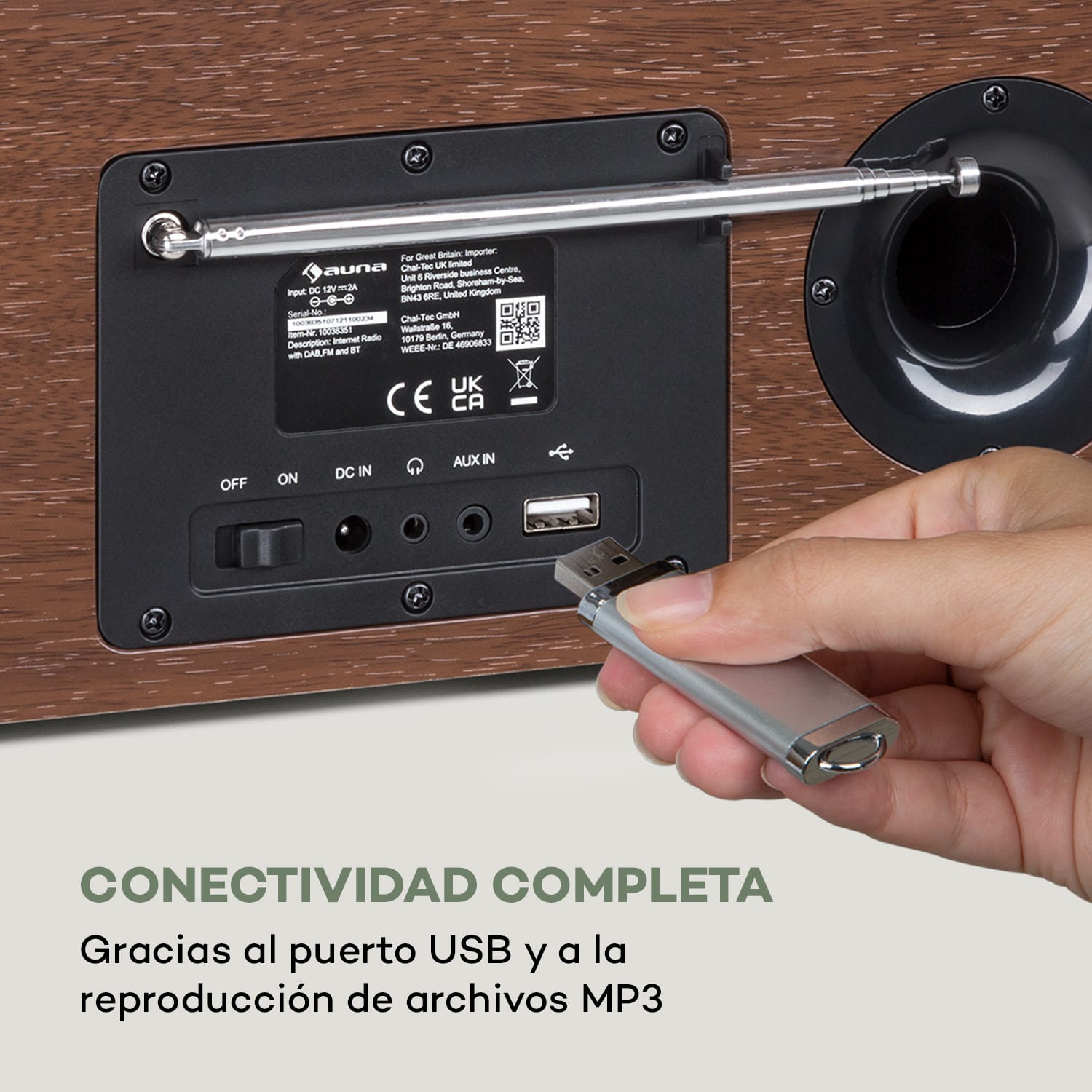 Silver Star Stereo Radio con internet/DAB+/FM BT USB y control por aplicación 