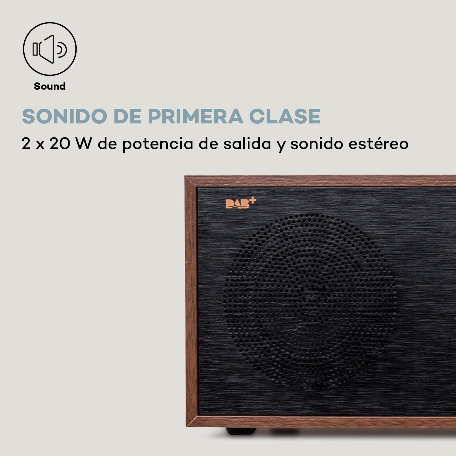 Silver Star Reproductor de CD-DAB 2x20W máx. con ranura DAB+ BT Alu Nuez