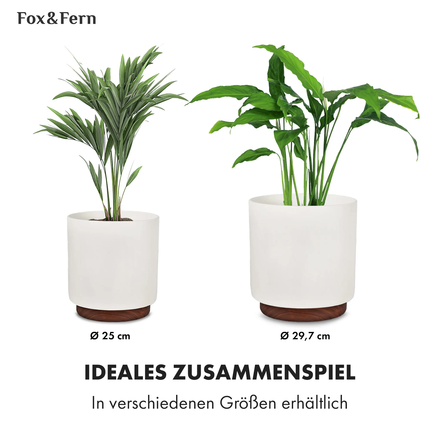 Rubal Fox & Fern        Enspijk BlumentöpfeQA 5555