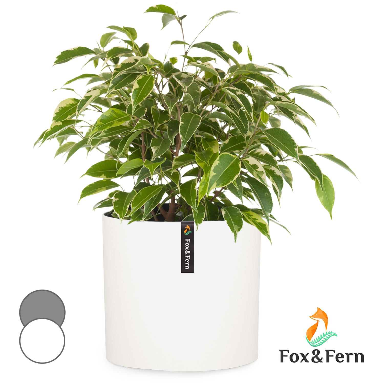 Pot de fleurs Venlo polystone intérieur et extérieur 3 tailles