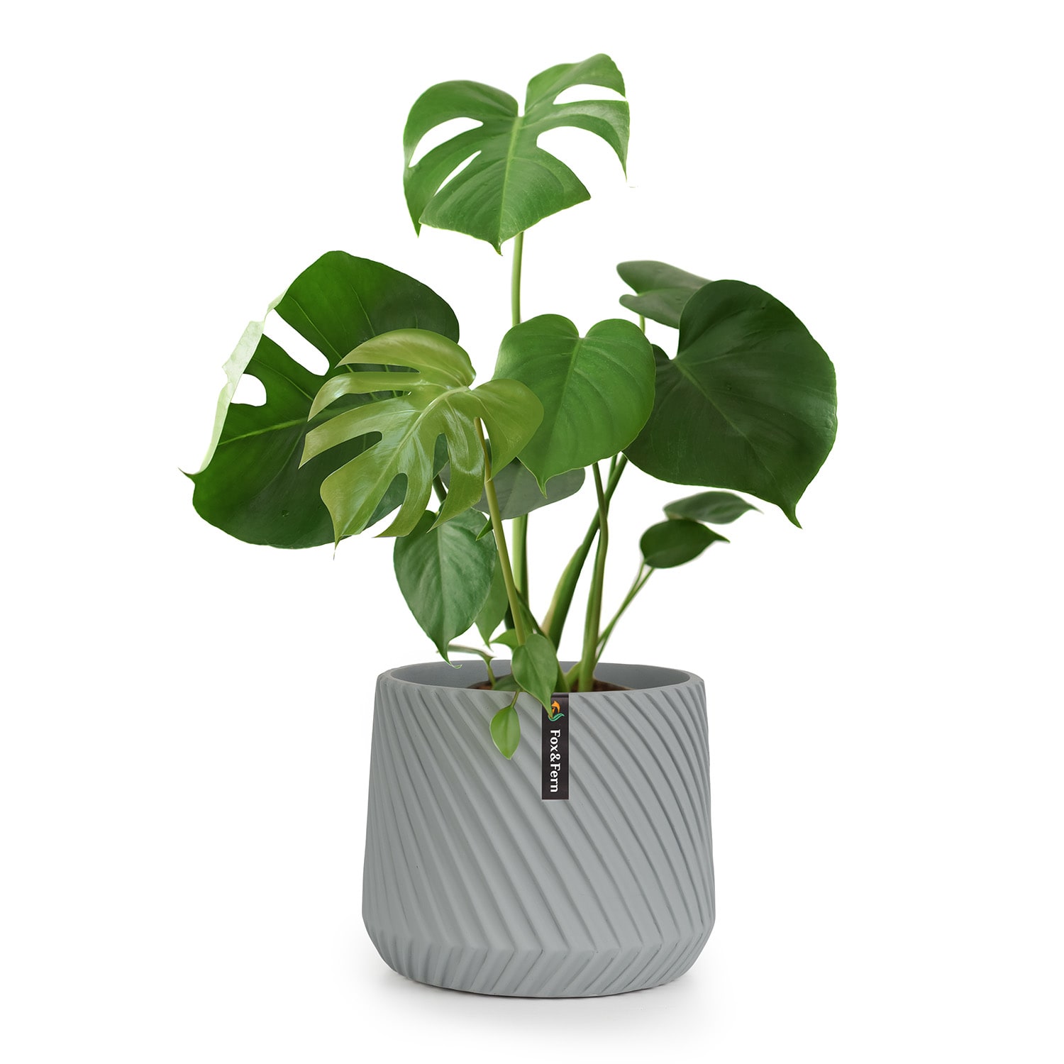 Maceta hecha a mano de polystone apto para plantas M (Ø 25,4 cm) | Gris Medio