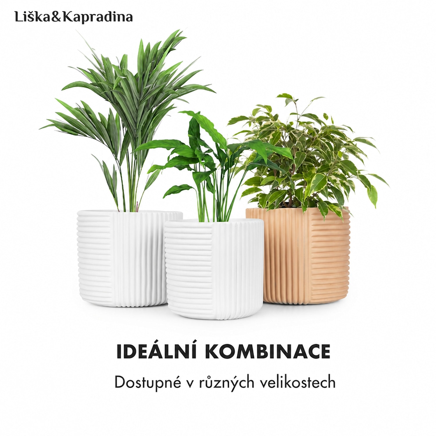 Květináč Hasselt z polystonu, ručně vyrobený, vhodný pro rostliny ve 3D vzhledu. M (Ø 25,4 cm) | Bílá