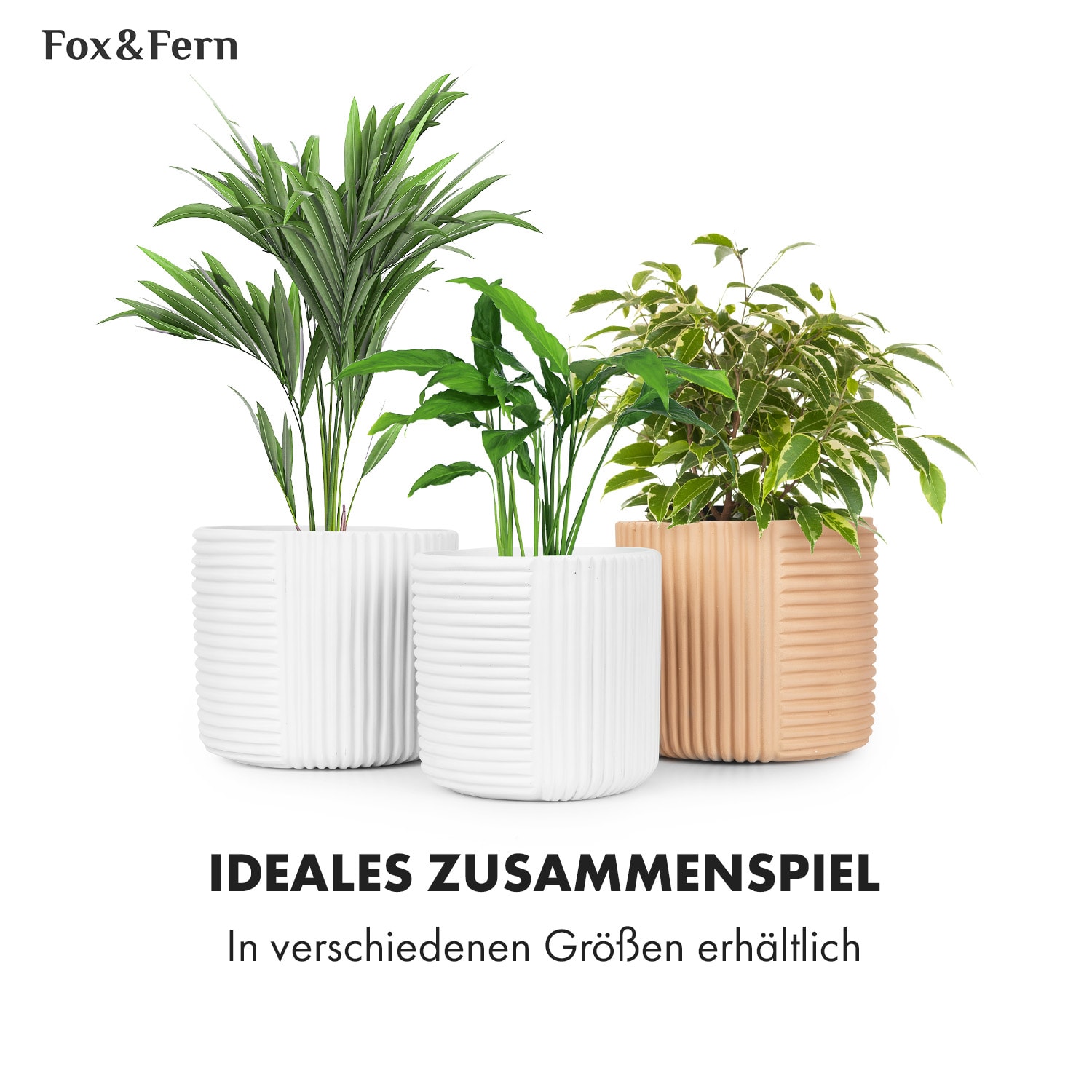 Hasselt Blumentopf Polystone pflanzenfreundlich handgemacht 3D-Optik 