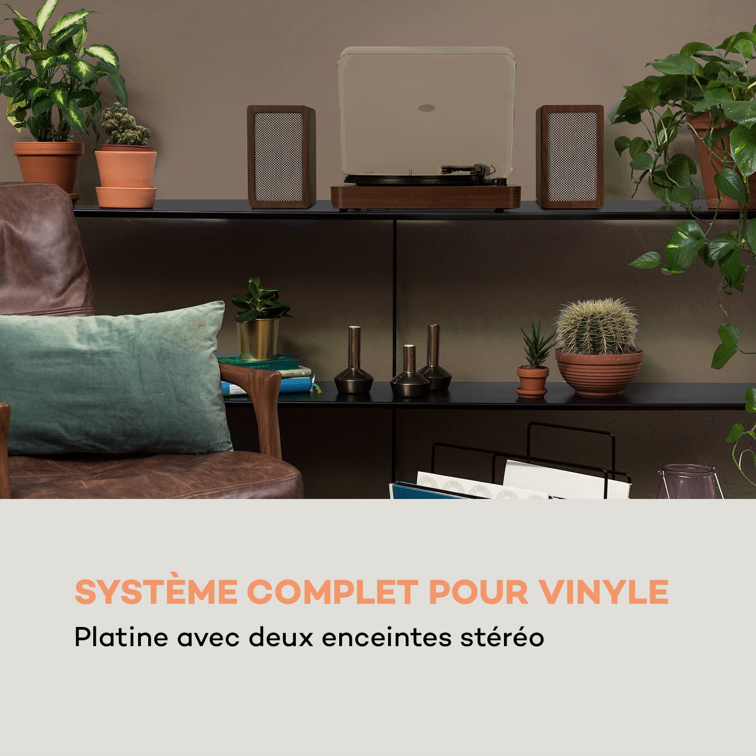 TT-Play SE Platine vinyle Protection anti-poussière Bluetooth 33/45/78 tr/min Pitch Acajou