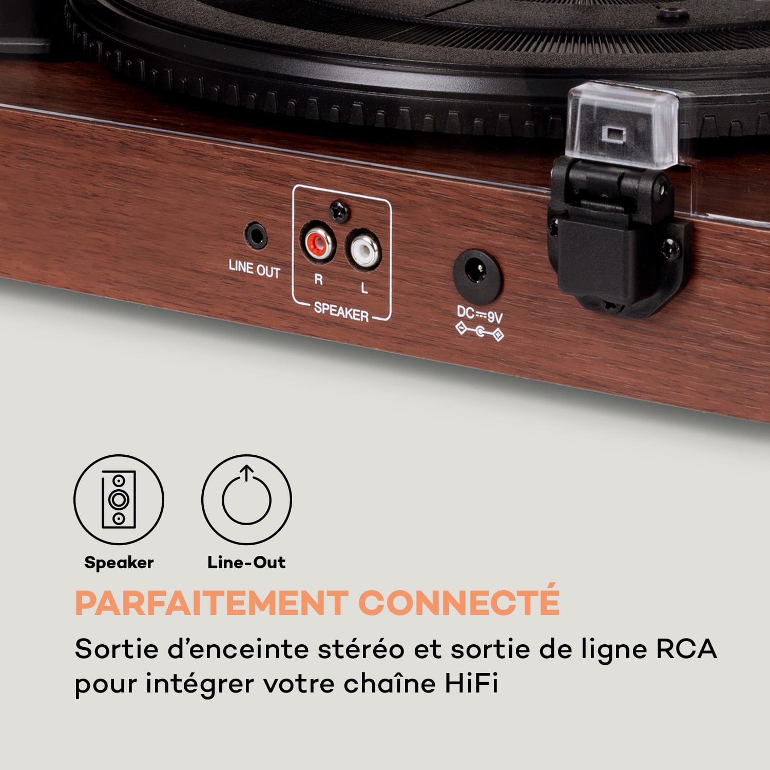 TT-Play SE Platine vinyle Protection anti-poussière Bluetooth 33/45/78 tr/min Pitch Acajou
