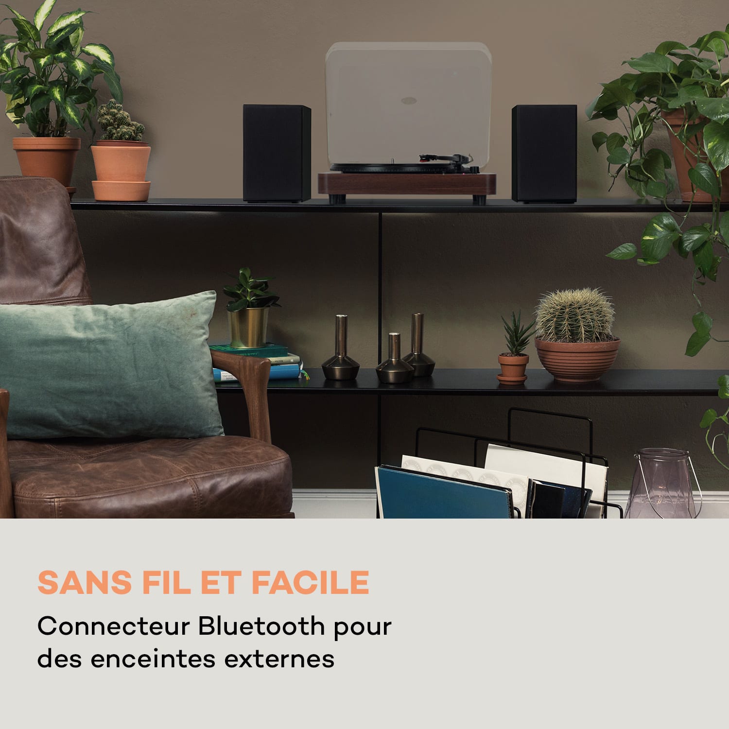 TT-Classic Light Platine vinyle Protection anti-poussière Bluetooth 33/45/78 tr/min Acajou