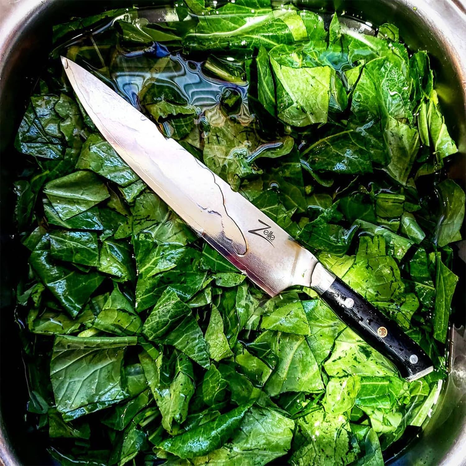 Cuchillo de chef de 10" serie japonesa Alpha-Royal acero de Damasco 10" Cuchillo de cocinero