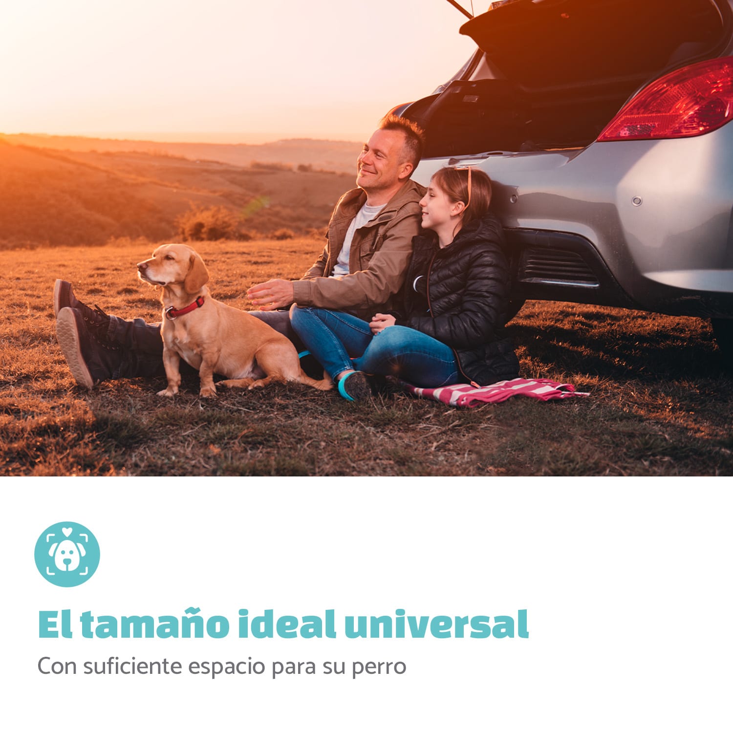 Asiento de coche para perros Rocky, cinturón de seguridad de poliéster plegable y flexible  Instalación del asiento trasero | Negro