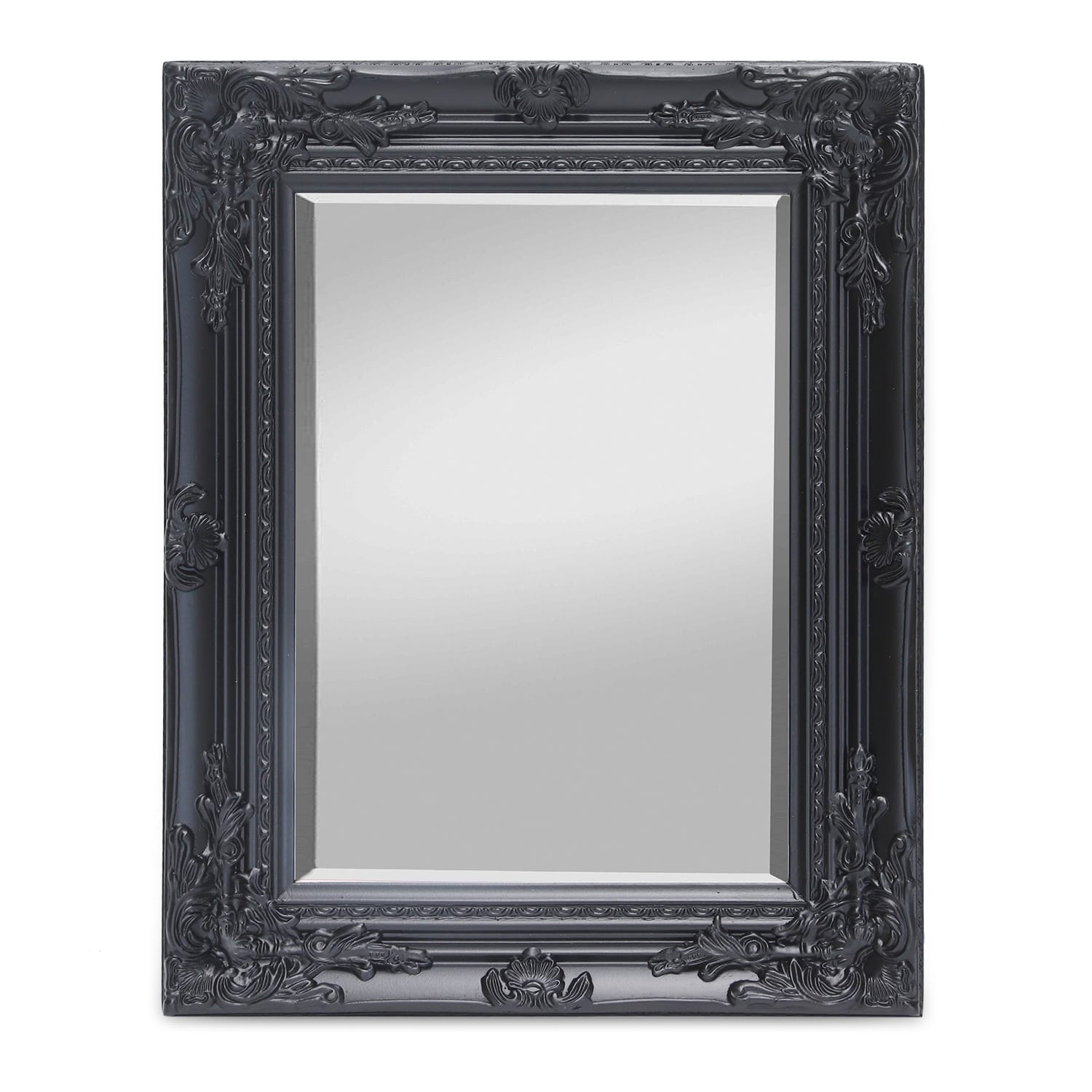 Ipswich Wandspiegel Massivholzrahmen rechteckig 53 x 42 cm Schwarz