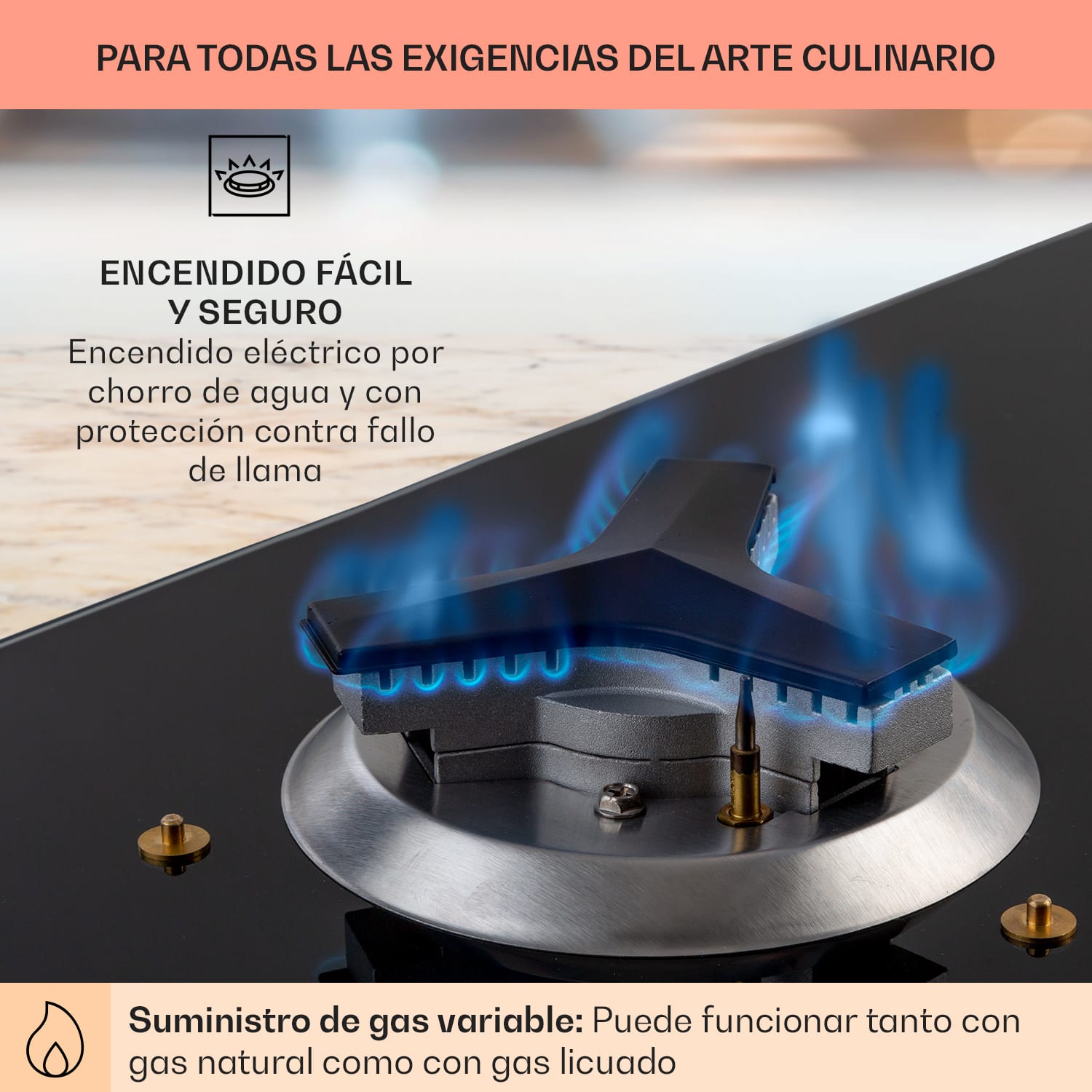 Trifecta 6 Placa de gas de 6 quemadores de alta potencia, normales y auxiliares  