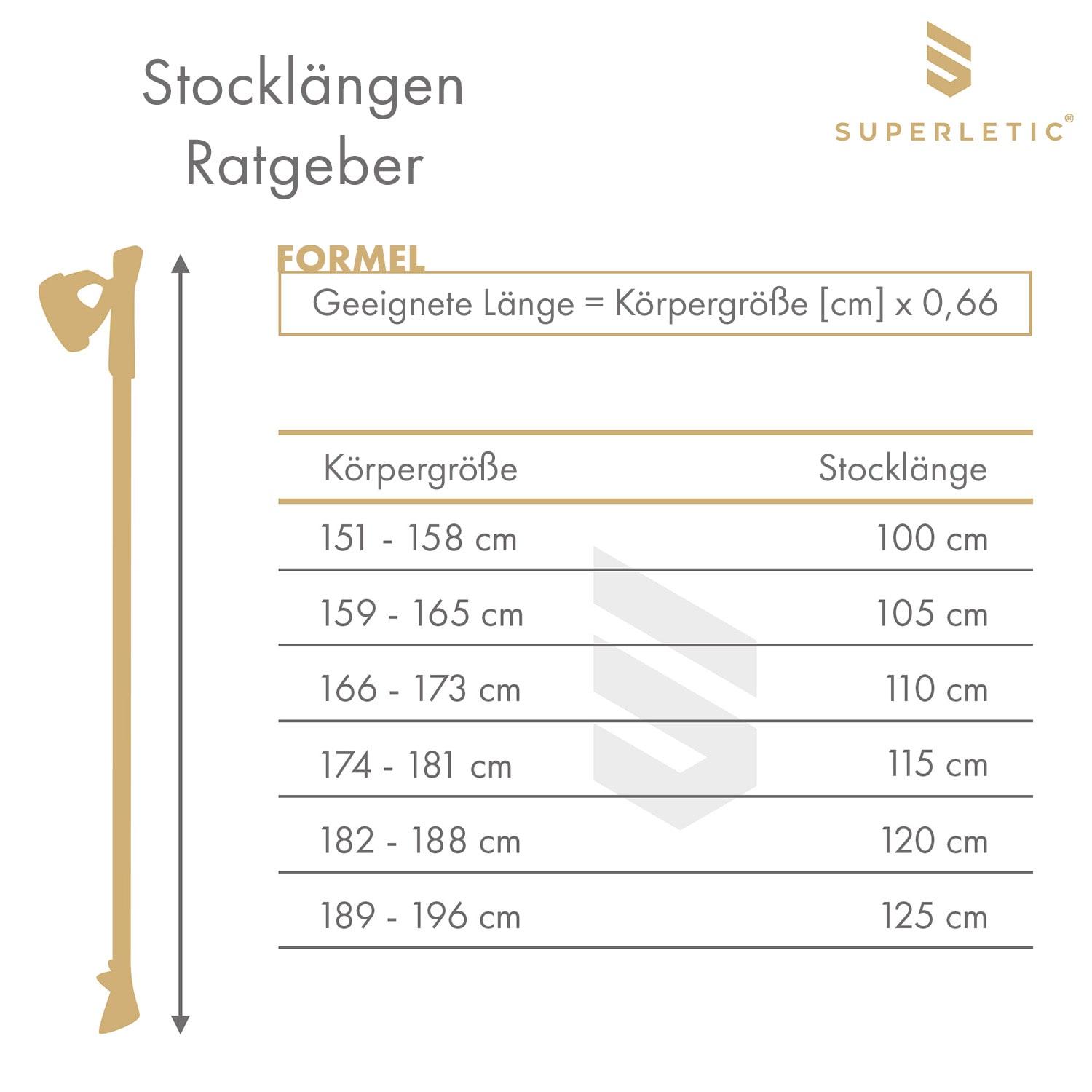Bilbao TX Essential Nordic Walking Stöcke 10 % Carbon 100-130 cm Korkgriffe 