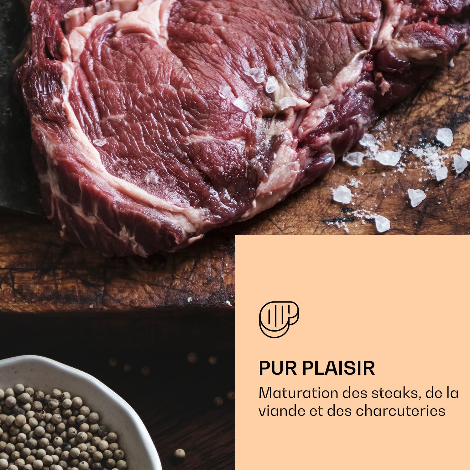 Steakhouse Pro 98 Onyx cave de maturation de la viande 1 zone 98 l 1-25°C Touch Panorama Noir