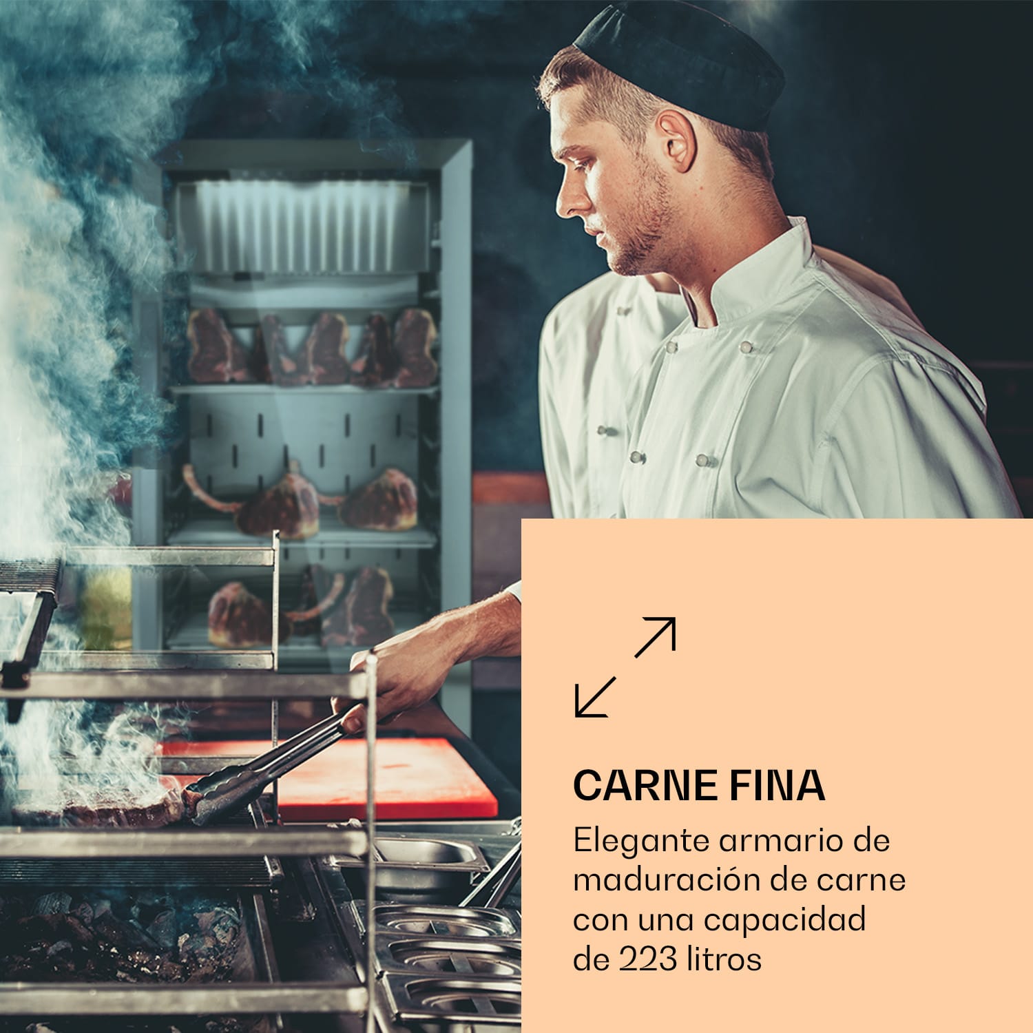 Steakhouse Pro 233 armario de maduración de carne 1 zona 233 L 1-25 °C táctil panorámico Plata Metálica