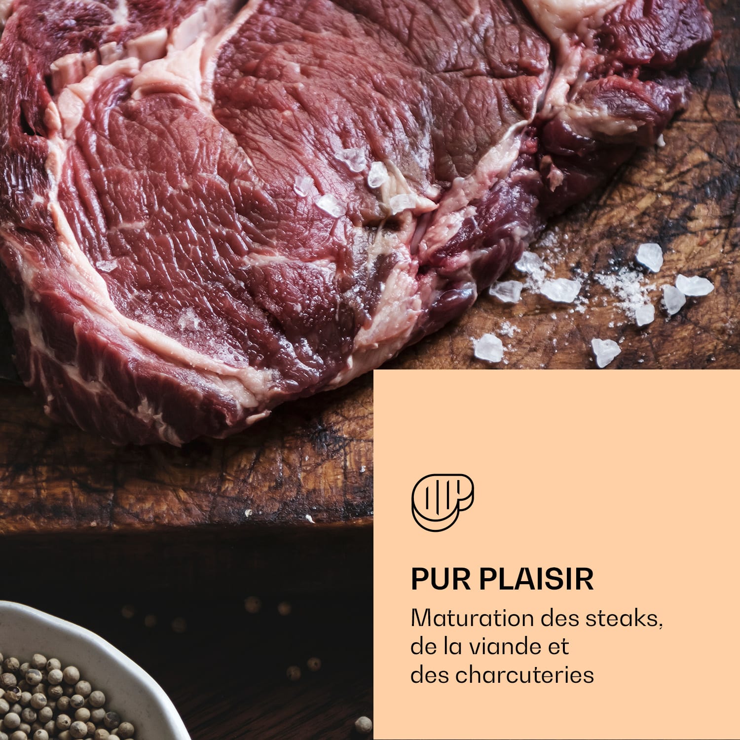 Steakhouse Pro 233 Onyx cave de maturation de la viande 1 zone 233 l 1-25°C Touch Panorama Noir