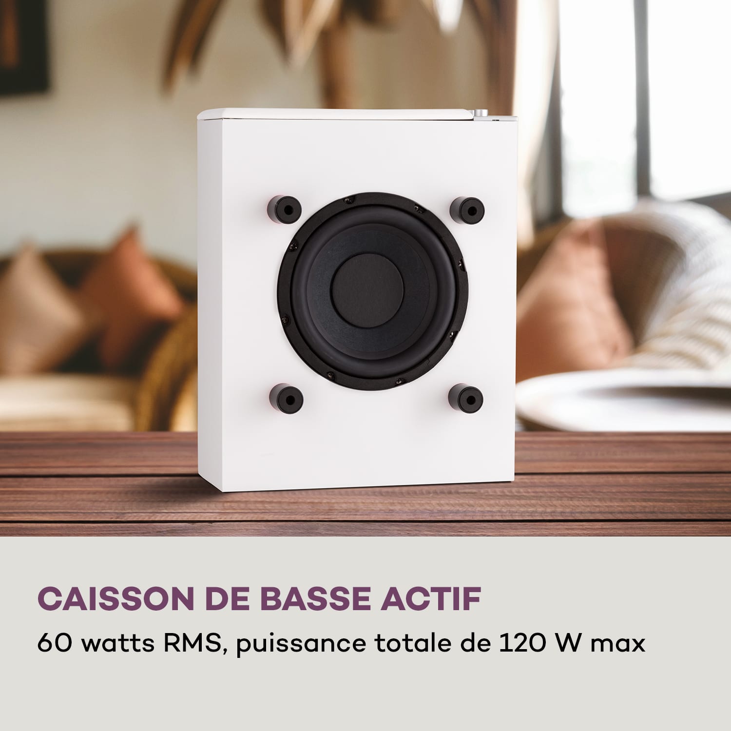 Ligne 501 Slim Subwoofer Bass Reflex passif 60 W RMS 50 - 100 Hz 4 ohms Blanc