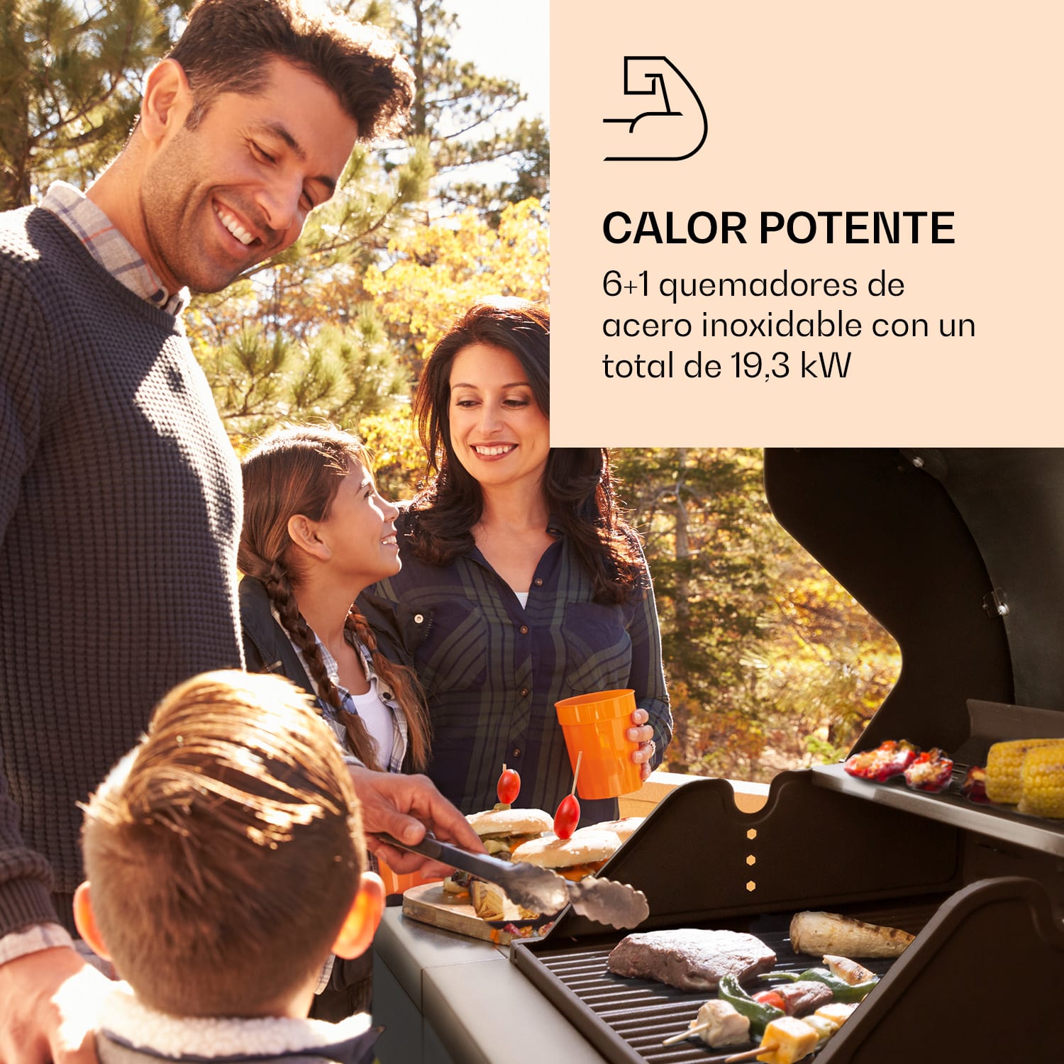 Valdosta 6.1 Parrilla de gas 6+1 quemadores 19,3 kW potencia total 6 quemadores principales + 1 quemador lateral