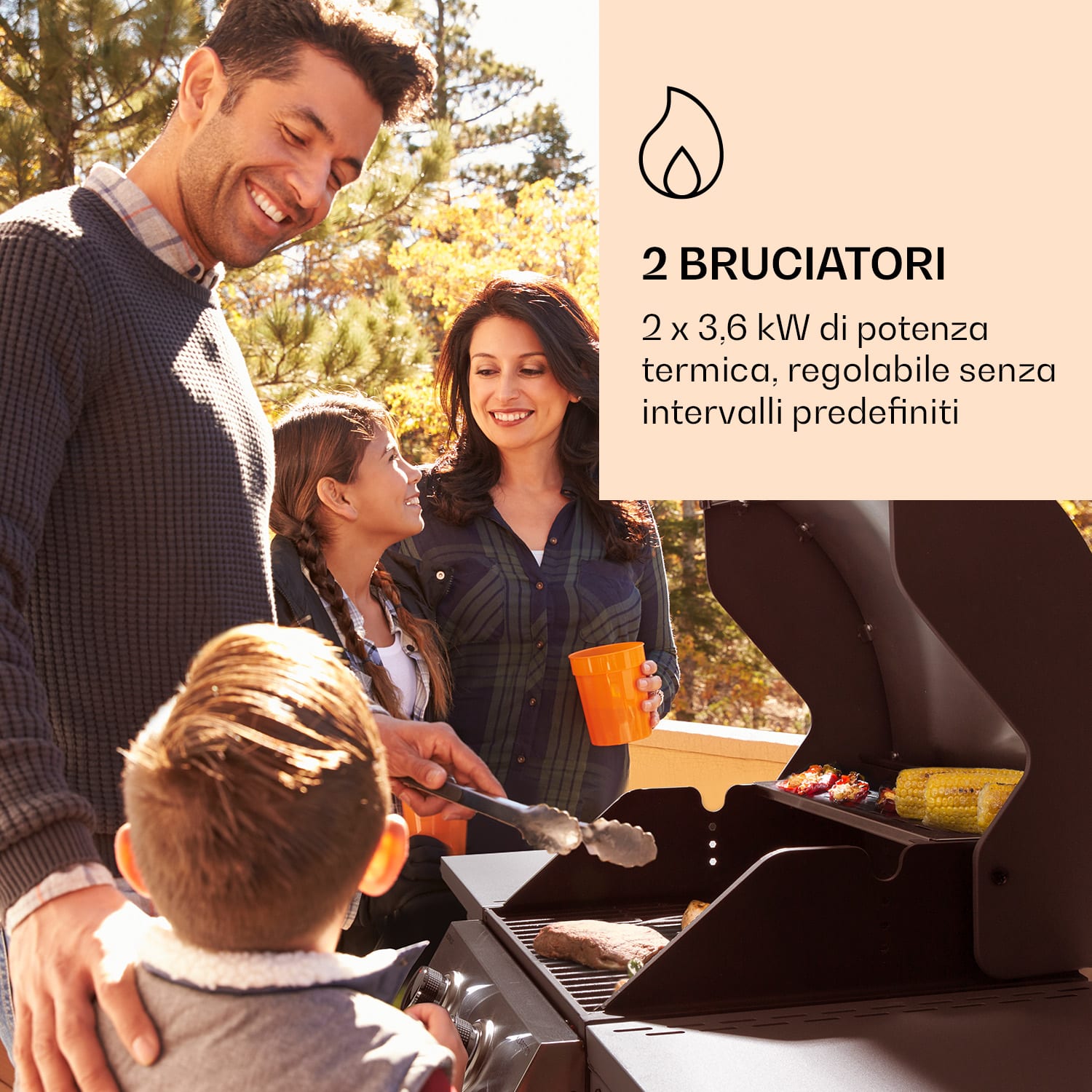 Lucifer 2 - Griglia a gas, 2 bruciatori da 3,6 kW, griglia da 45 x 45 cm, acciaio inox, mobile 2 bruciatori | Argento metallizzato