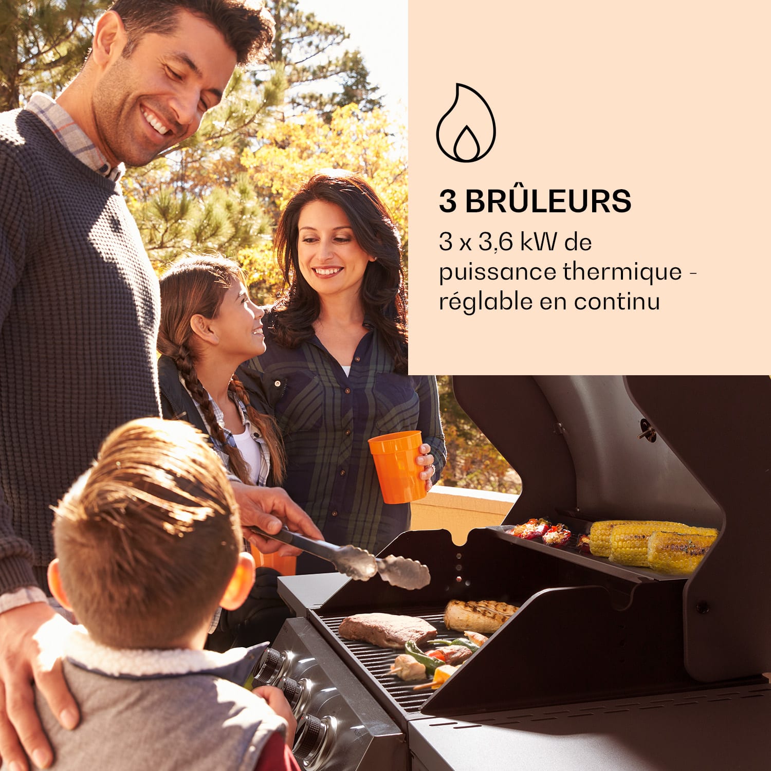 Lucifer 3 Barbecue à gaz 3 x 3,6 kW brûleurs 60 x 45 cm barbecue inox mobile 3 brûleurs | Argent Métallisé